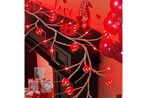 6-Foot, 54-LED Valentine's Day Garland with Lights