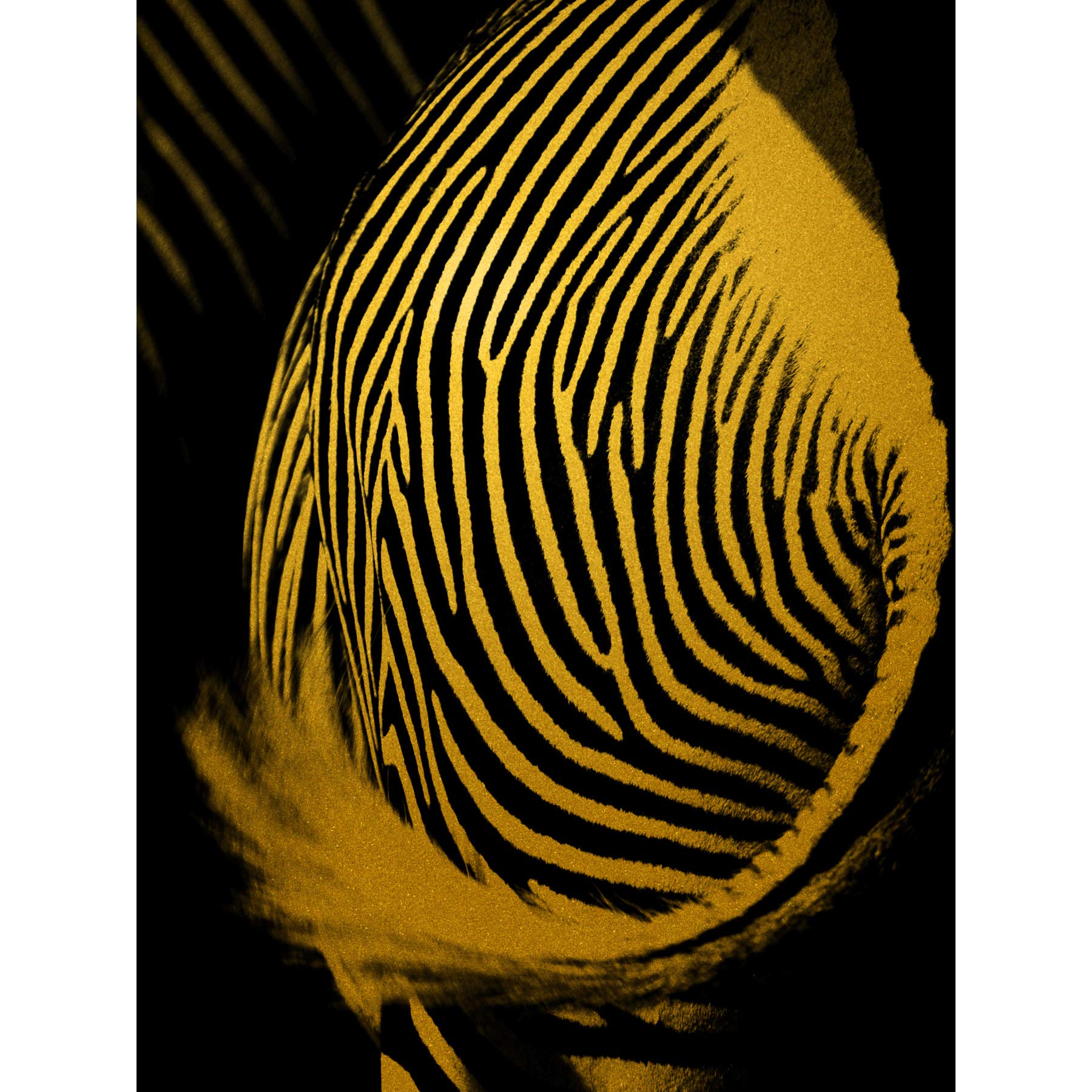 Artery8 Gold Effect Yellow Black Zebra Rear Abstract Premium Wall Art Canvas Print 18X24 Inch
