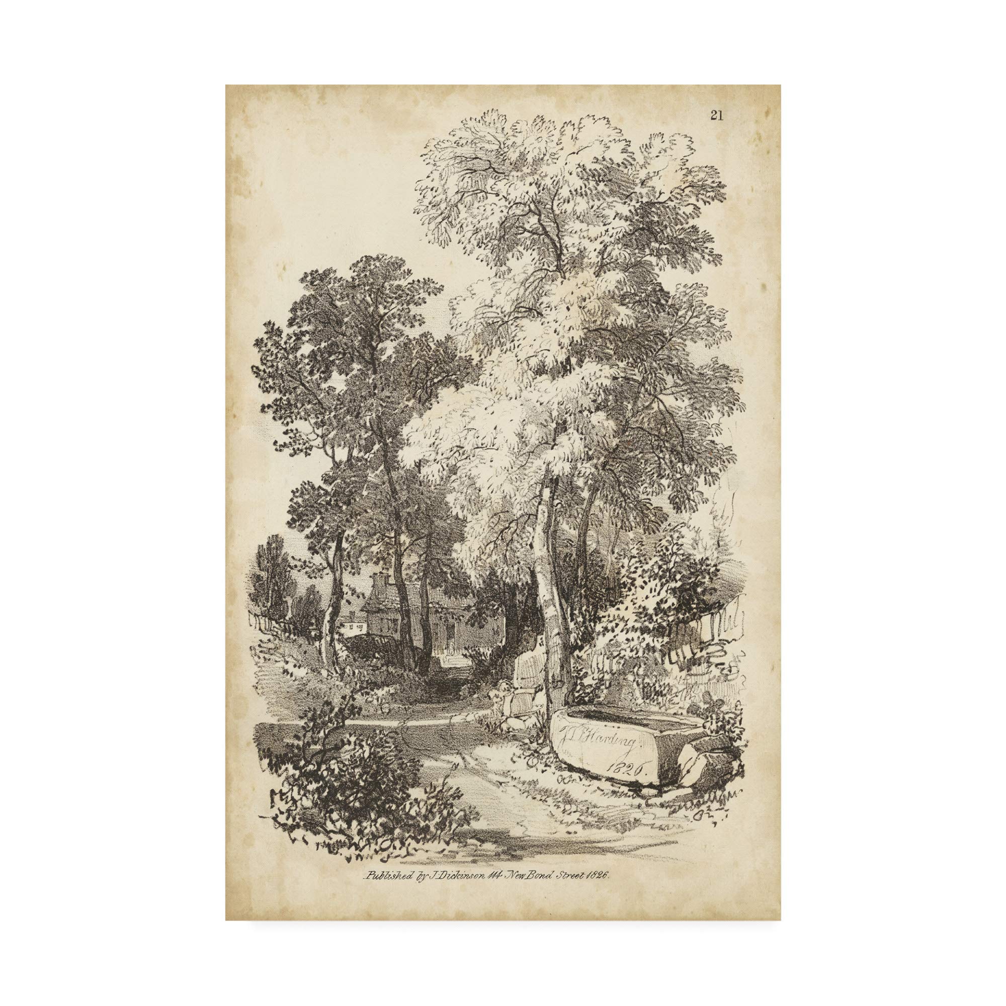 Trademark Fine Art Noble Tree I by J.D. Harding, 16x24