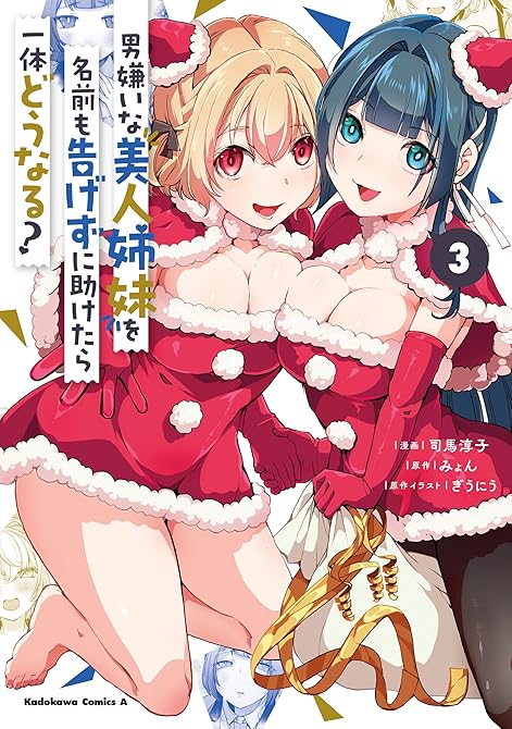 男嫌いな美人姉妹を名前も告げずに助けたら一体どうなる?　３の表紙イラスト