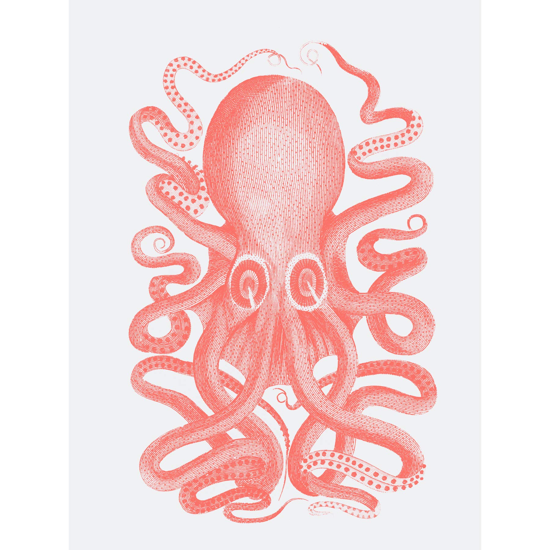Wee Blue Coo Living Coral Octopus Large Wall Art Print Canvas Premium Poster