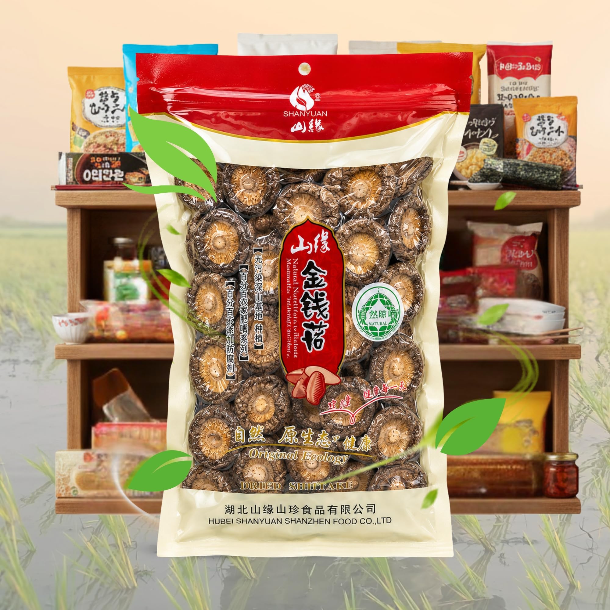 Setas Shiitake Deshidratadas, Hongos Enteros tamaño 2 a 3 cm, sabor umami, ideal para ramen, caldos, sopas y guisos, Sin Conservantes ni colorantes, aptas para veganos y celíacos, 1 Unidad de 100 gr