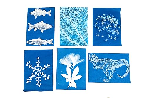 Miniatura 2 de NPP40. Papel para imprimir The Sun Prints It de 5 x 7 pulgadas (Paquete de 40)