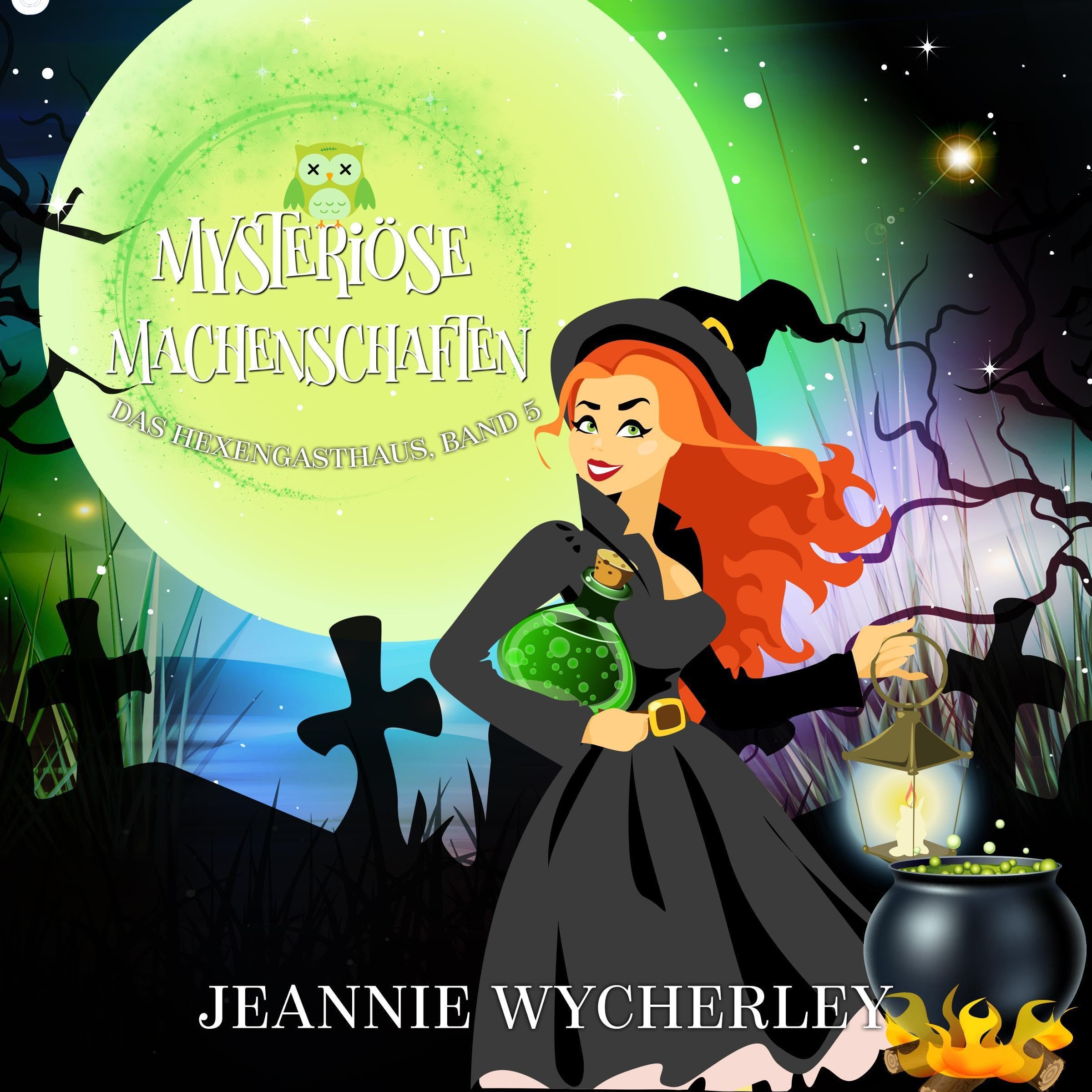 Cover art for Mysteriöse Machenschaften