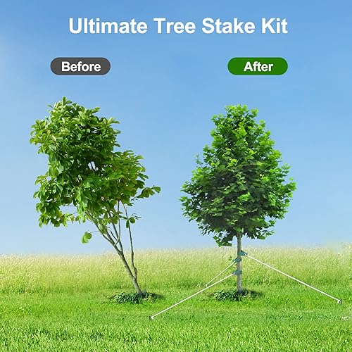 Miniatura 3 de Kits de estacas para árboles, estacas de árbol resistentes y kits de soporte para árboles jóvenes contra el mal tiempo, 3 estacas para árboles, 3
