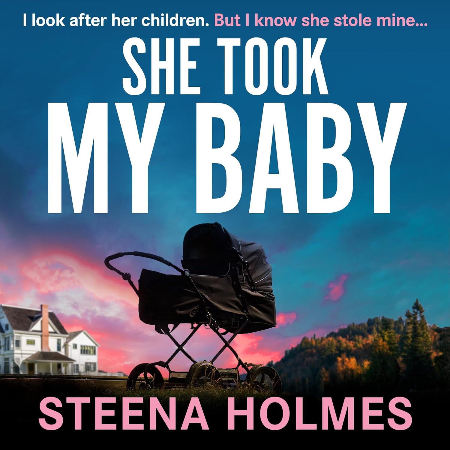 Steena Holmes She Took My Baby