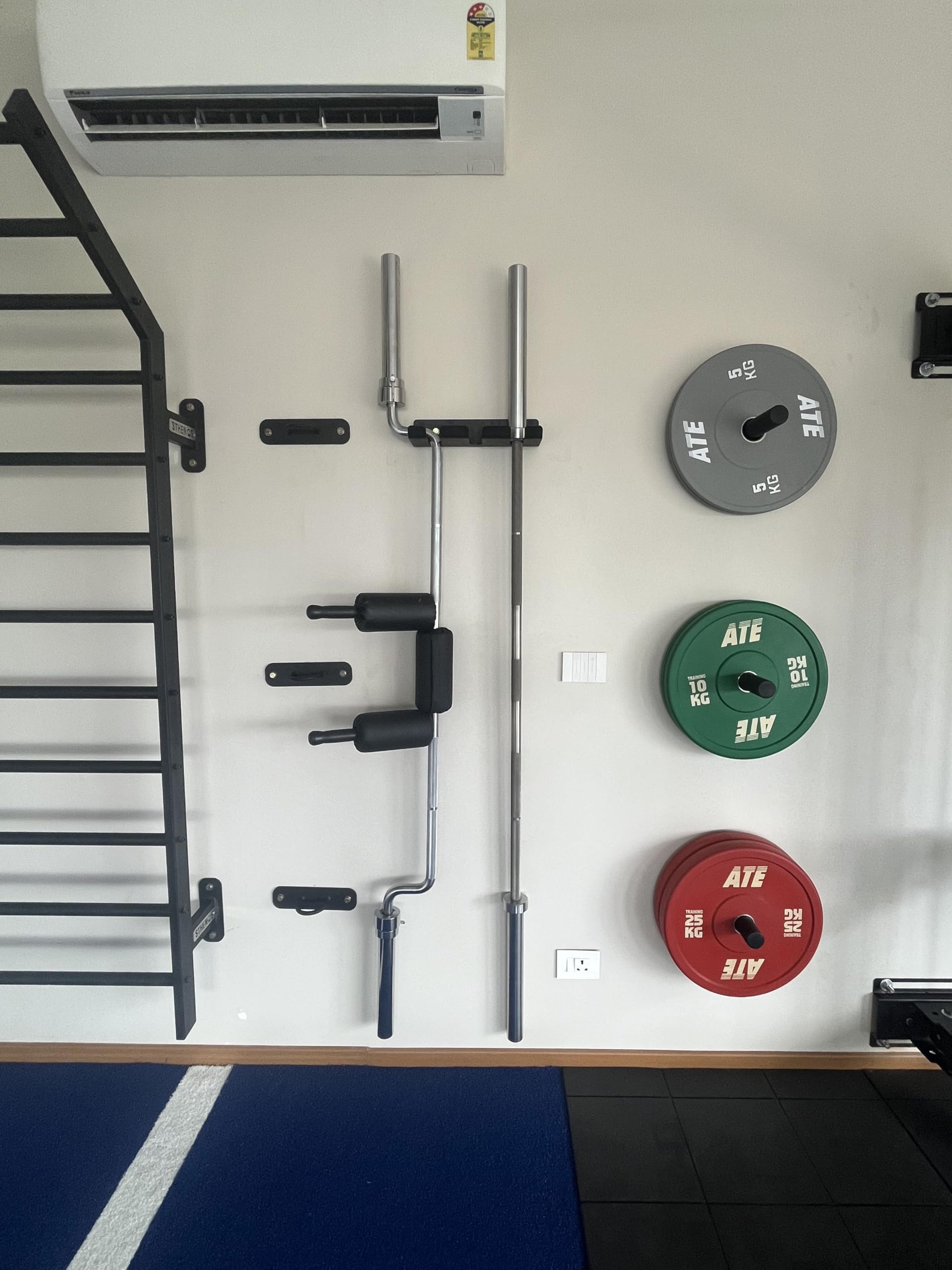 Sthenos Gym Weight Plate Wall Holder Rack (Pack of 1) – Heavy-Duty Steel Wall Mount for Olympic Weight Plates, Home Gym Organizer, Space Saving Fitness Storage Rack 1