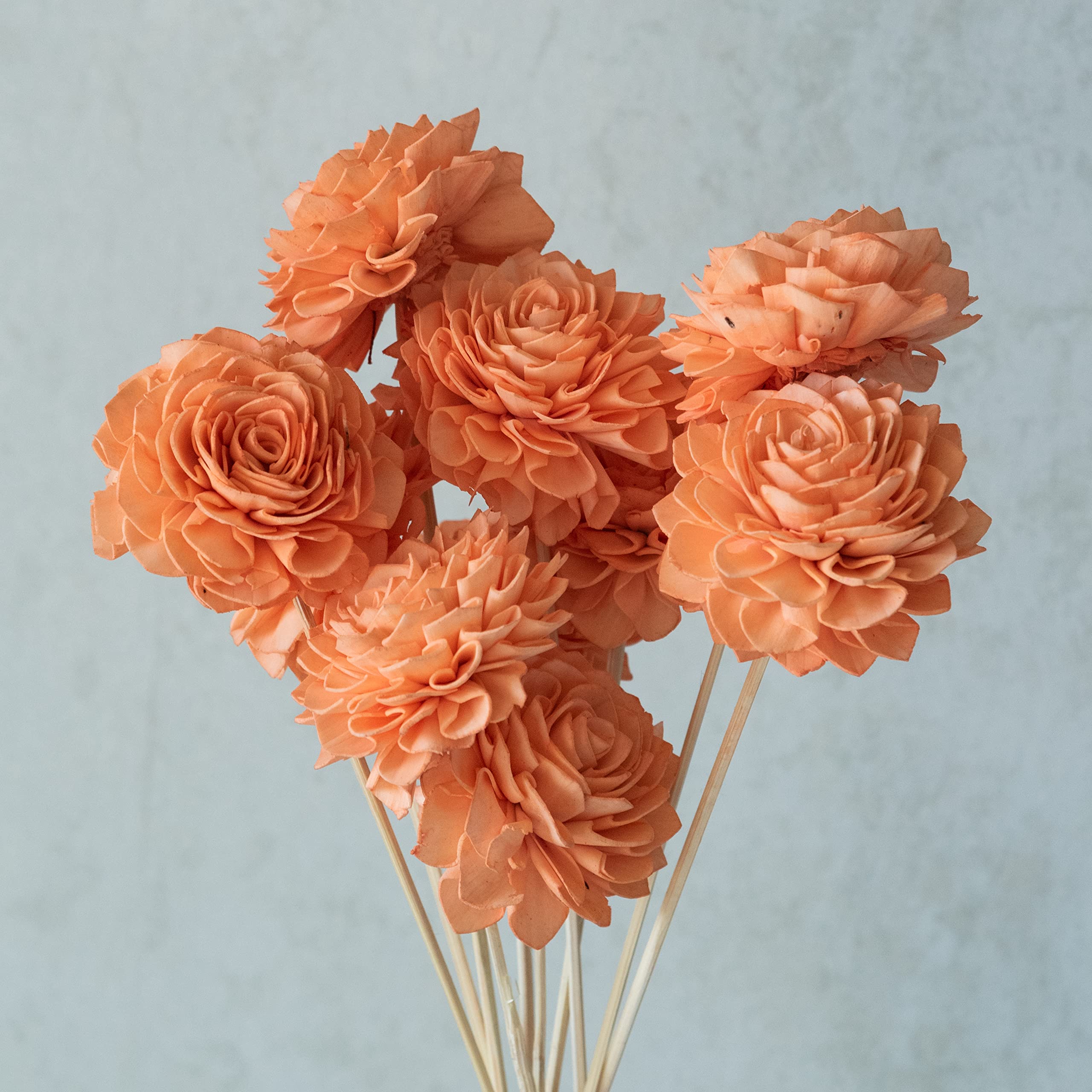 Flowers and Fillers Peachy Wood Flowers On Stem (Pack of 10)
