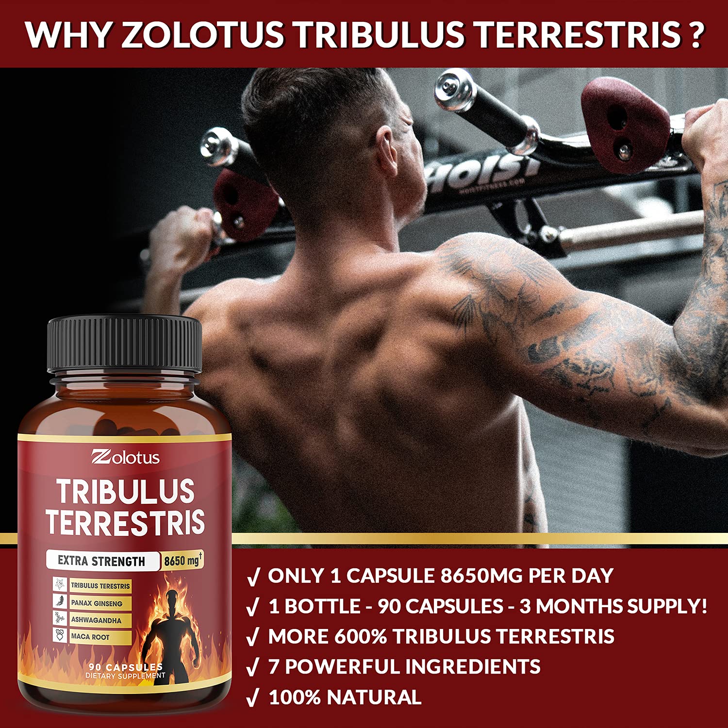 Buy Tribulus Terrestris, 8650mg Per Capsule, Highest Potency with Ashwagndha, Panax Ginseng, Saw