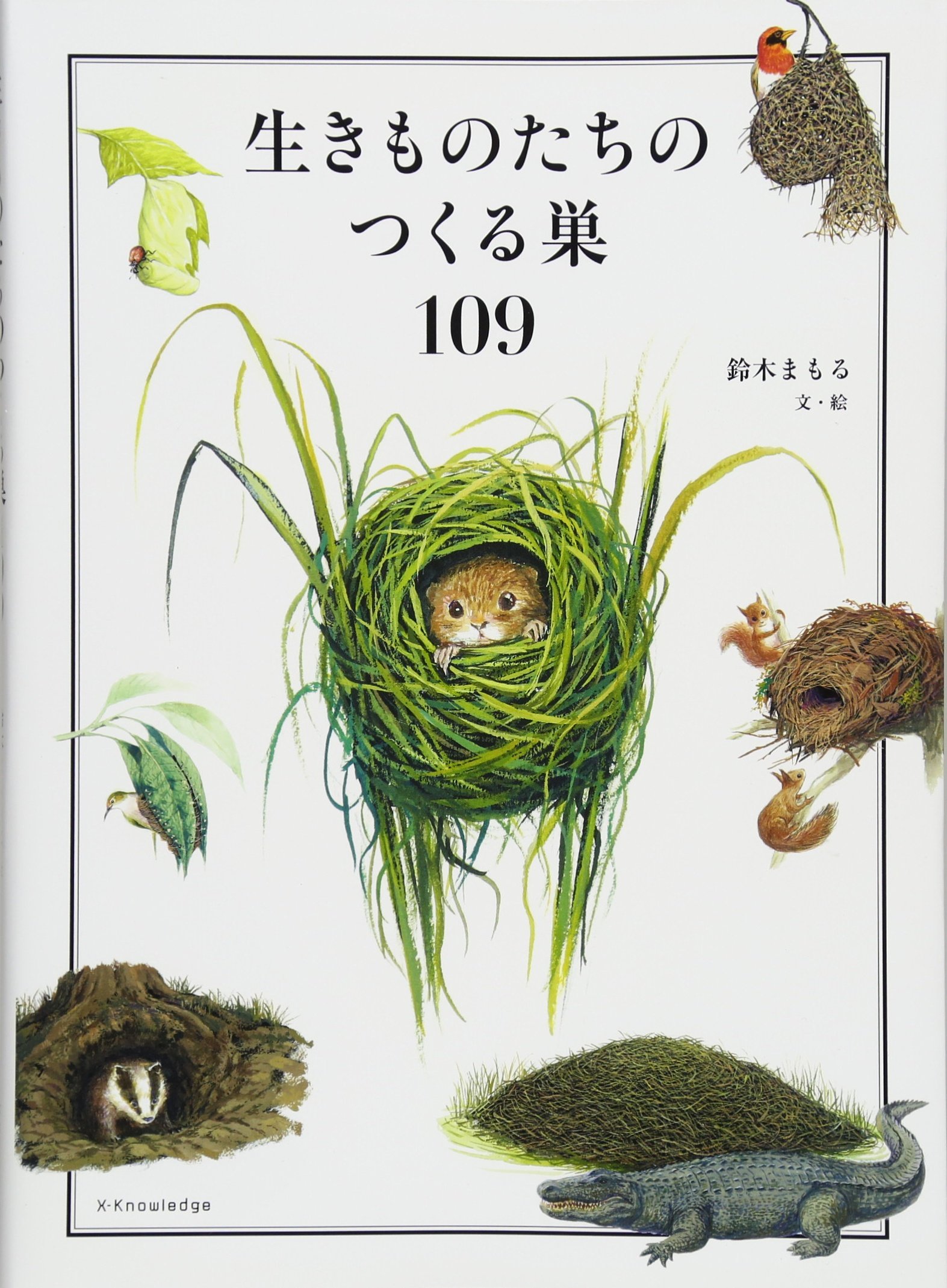生きものたちのつくる巣109 鈴木 まもる 本 通販 Amazon 生きものたちのつくる巣109 鈴木 まもる 本 通販 Amazon