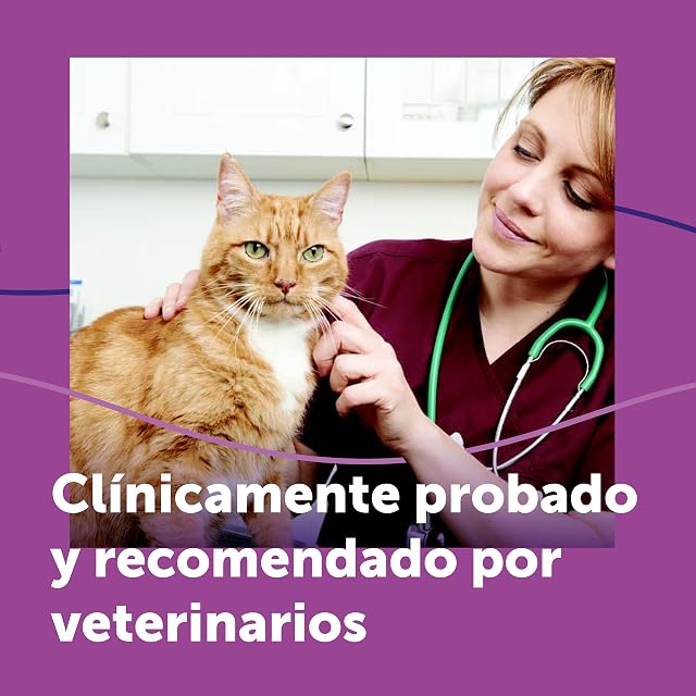 Foto 8 de 8 de FELIWAY Classic - Pack Ahorro 3 recambios para 90 días (3x48ml)