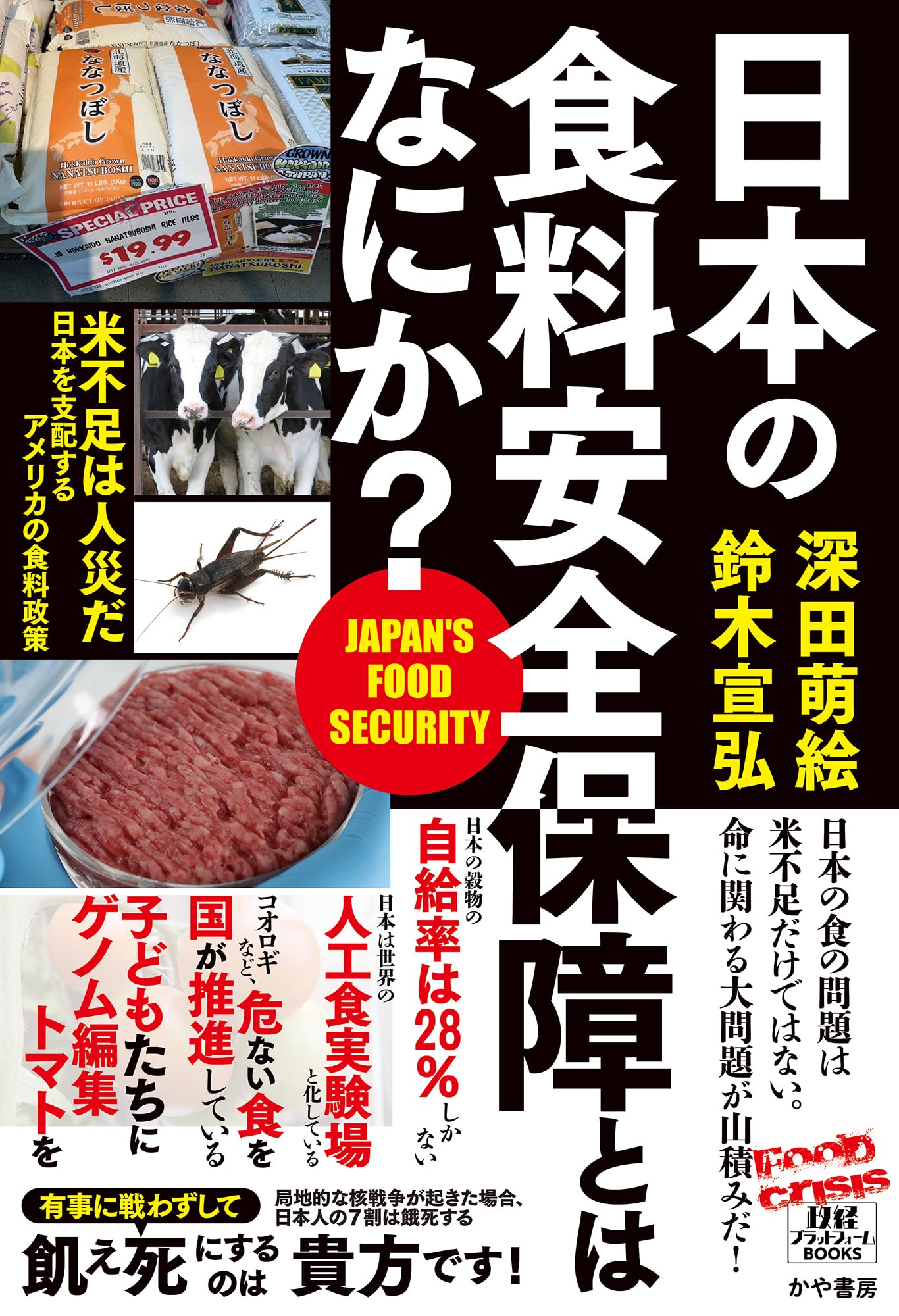日本の食料安全保障とはなにか？ (政経プラットフォームBOOKS) | 深田