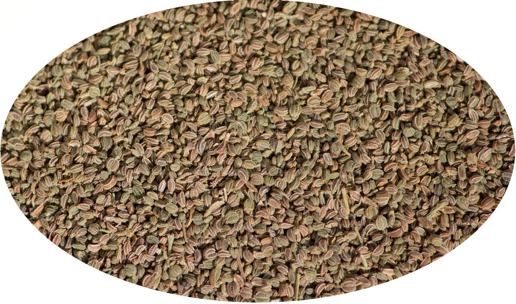 Eder Spezie - Semi di Sedano - 500g