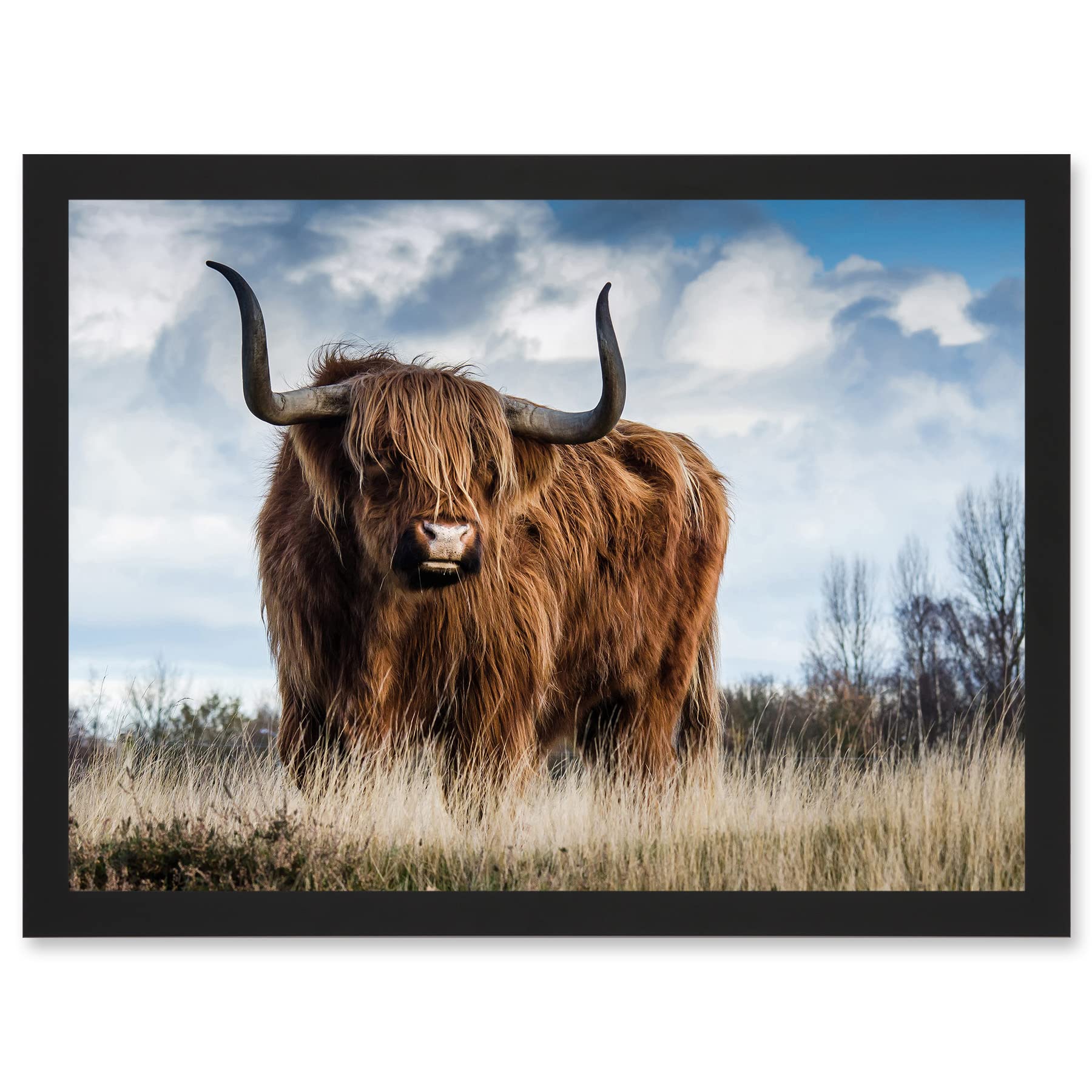Scottish Highland Cow Hairy Coo Framed Wall Art Print - A4 Size - Artery8