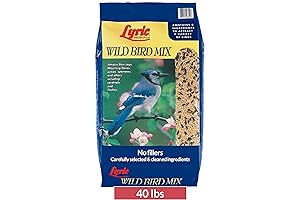 Lyric Wild Bird Feed: Nurture Your Backyard Symphony