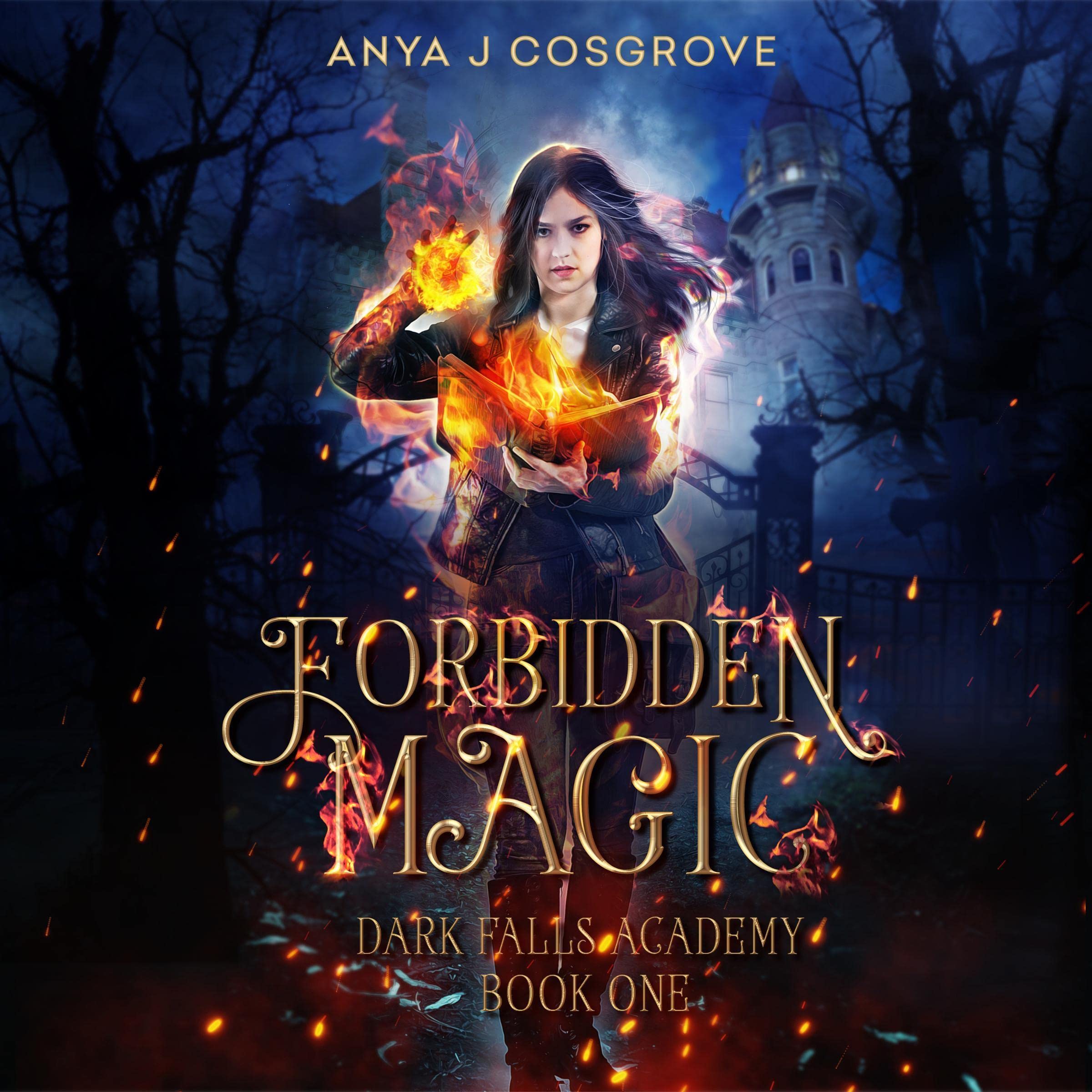 Cover art for Forbidden Magic