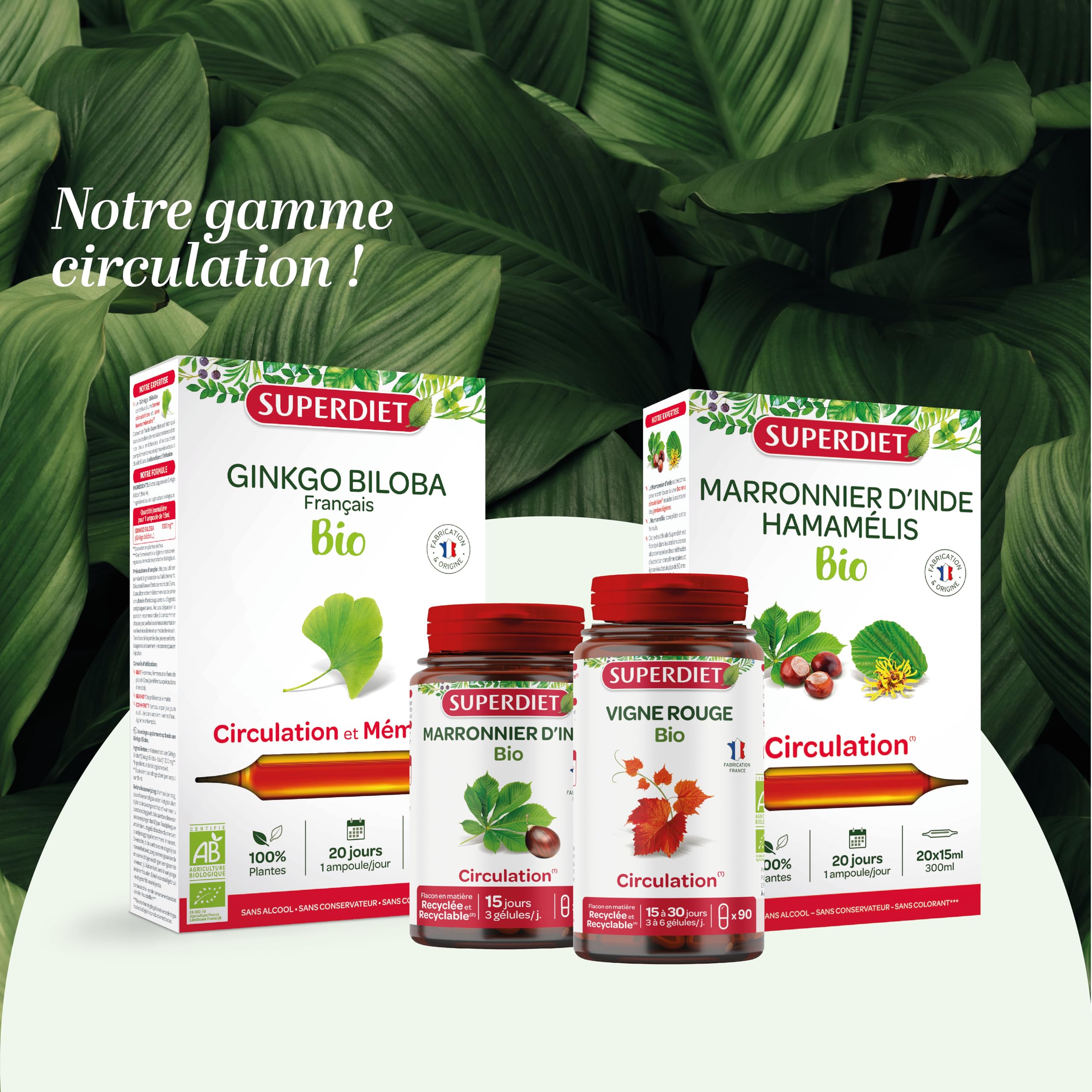 SuperDiet Quator Marronnier, Hamamélis, Vigne Rouge et Ginkgo 20 ampoules de 15ml soit 300ml (Lot de 2)