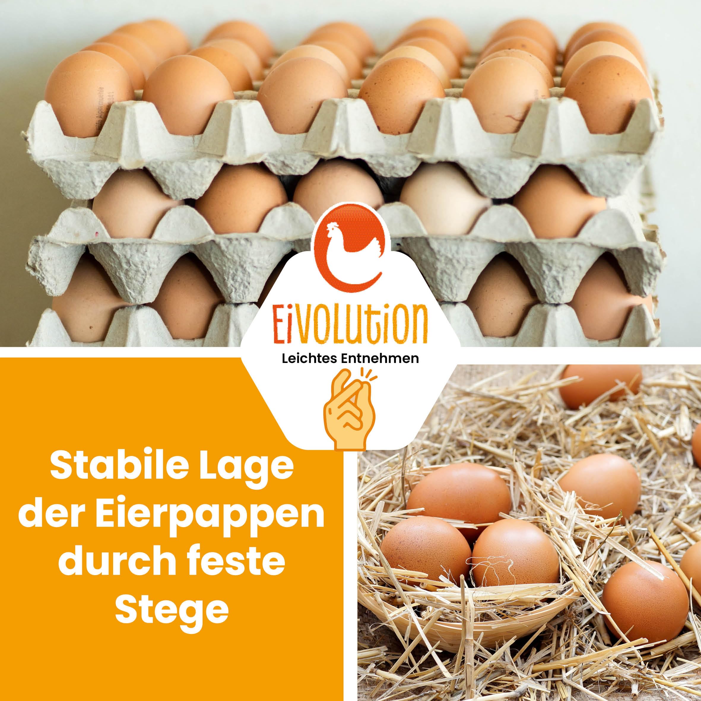 Umweltfreundliche Eierkartons für 30 Eier - 140 Stück - Recycelt und Lebensmittelecht - Passend für Größen S bis XL