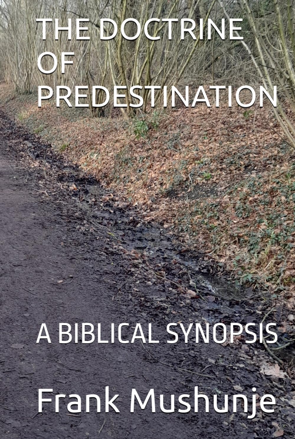 THE DOCTRINE OF PREDESTINATION: A BIBLICAL SYNOPSIS