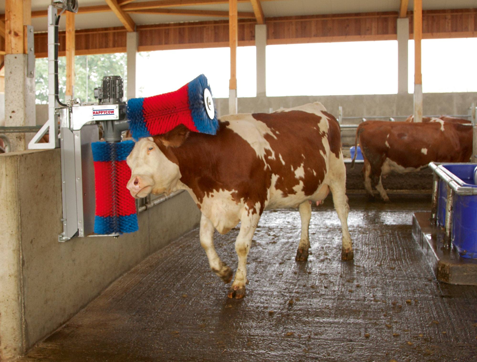 Kerbl Macchina per la Pulizia delle Mucche HappyCow Duo
