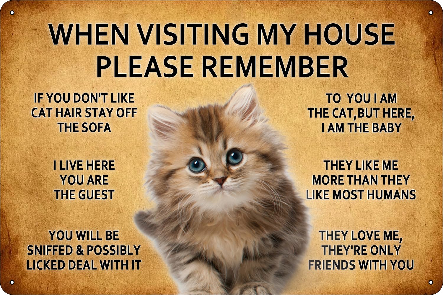 When Visiting My House Please Remember Vintage Cat Metal Tin Sign - 8x12 Inch - Perfect for Man Cave, Dining Room, Kitchen, Bathroom, or Garden Decor