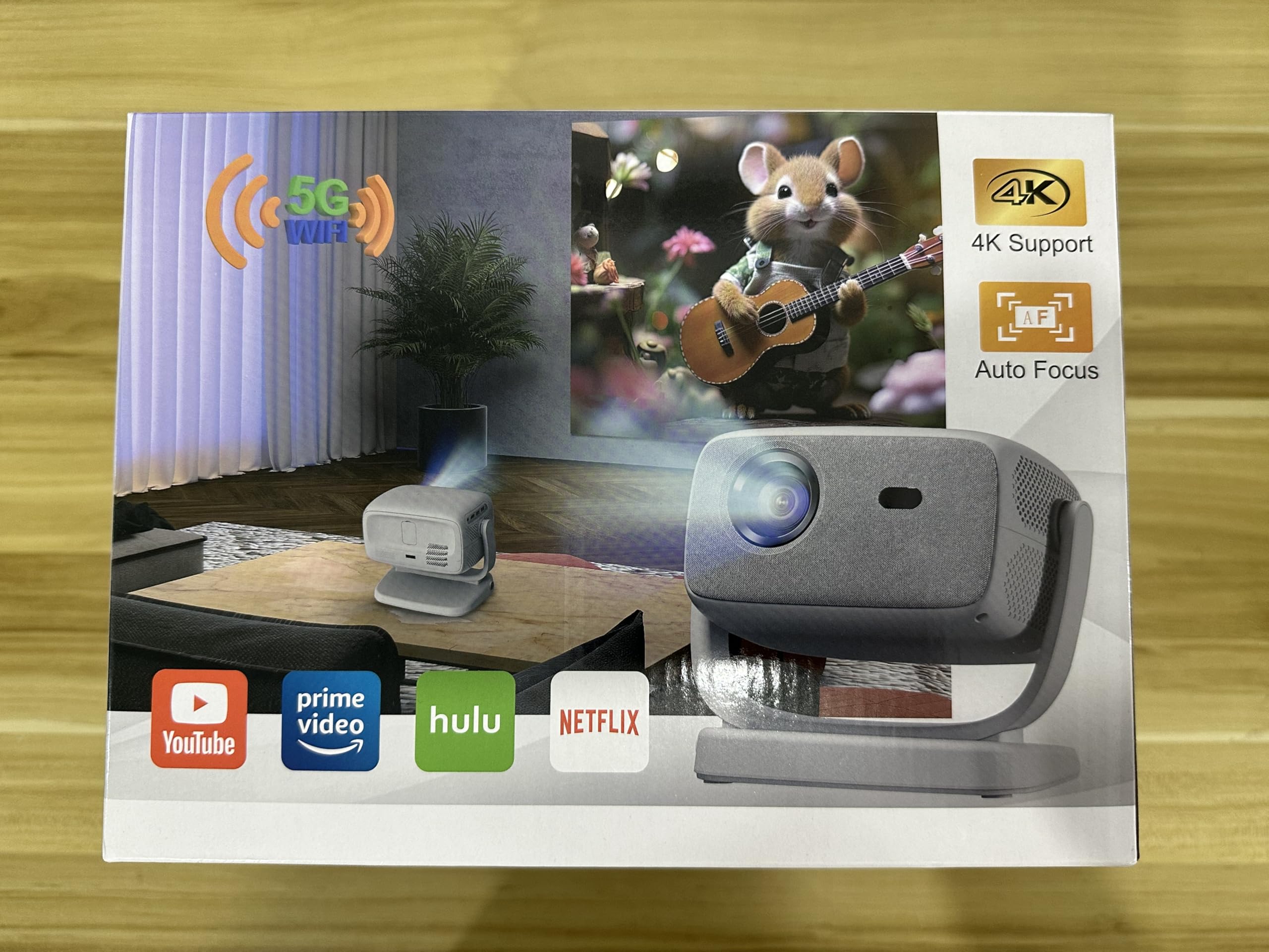 https://m.media-amazon.com/images/I/813ldL9EGBL.jpg