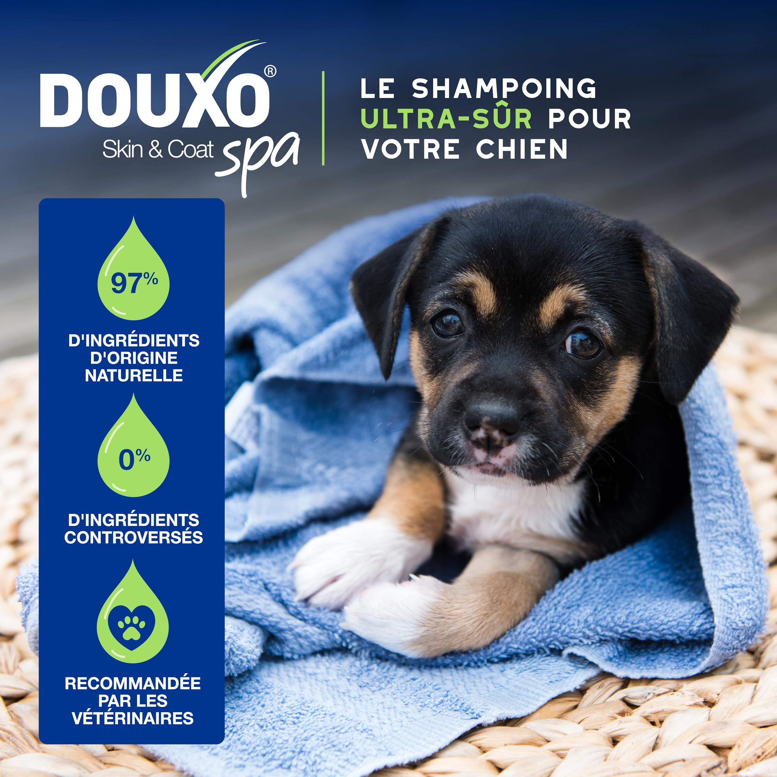 DOUXO Skin & Coat Spa - Ultra-Safe Shampoing pour Chiot, 250mL, Nettoie et Hydrate la Peau Profondeur, Laisse Le Pelage Doux et éclatant, Formule respectueuse de la Peau.