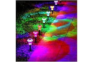 Vibrant Solar Lights to Illuminate Your Outdoor Haven