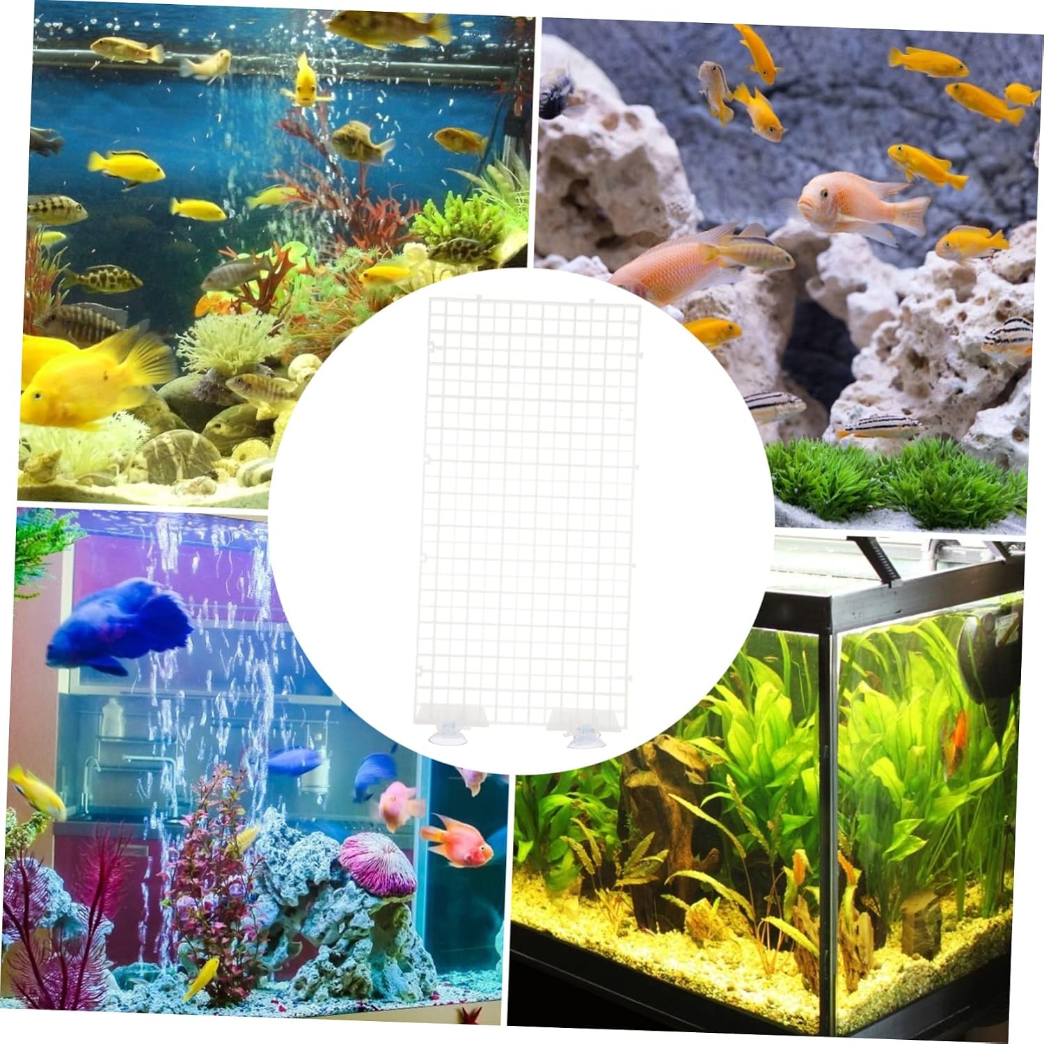 Isolation Board Board Fish Tank Aquarium Divider Lattice Plate for Filters Random Color
