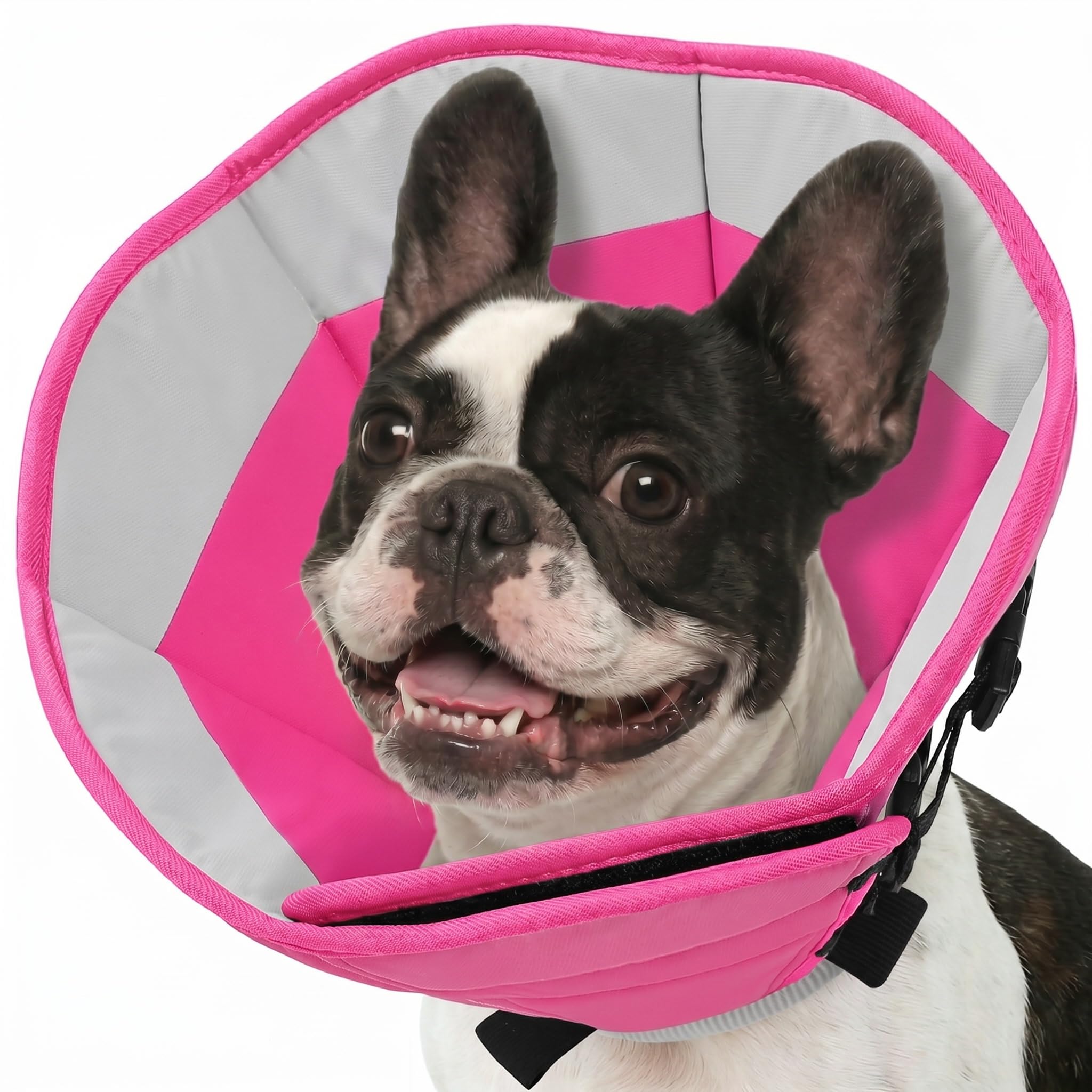 Photo 1 of SUNFURA Dog Cone Collar, Adjustable Cone for Dogs to Stop Licking, Soft Dog Cone Alternative for Small Dogs, Pet Recovery Collar After Surgery with Quick Release Buckle, Pink S
