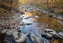 Review Image by Liqwid Liqwid