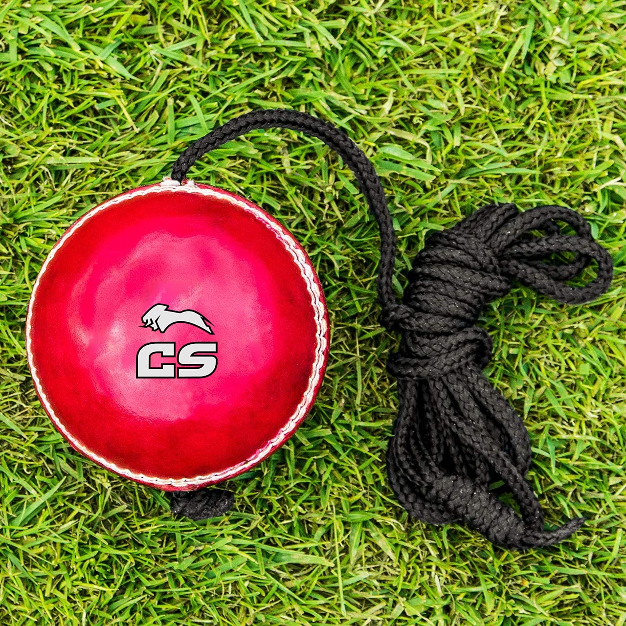 Ceela Leather Cricket Shot Practice Hanging Ball, String Cricket Ball and Knocking Cricket Ball with Rope (B08RNX6T2X) Amazon Price History, Amazon Price Tracker