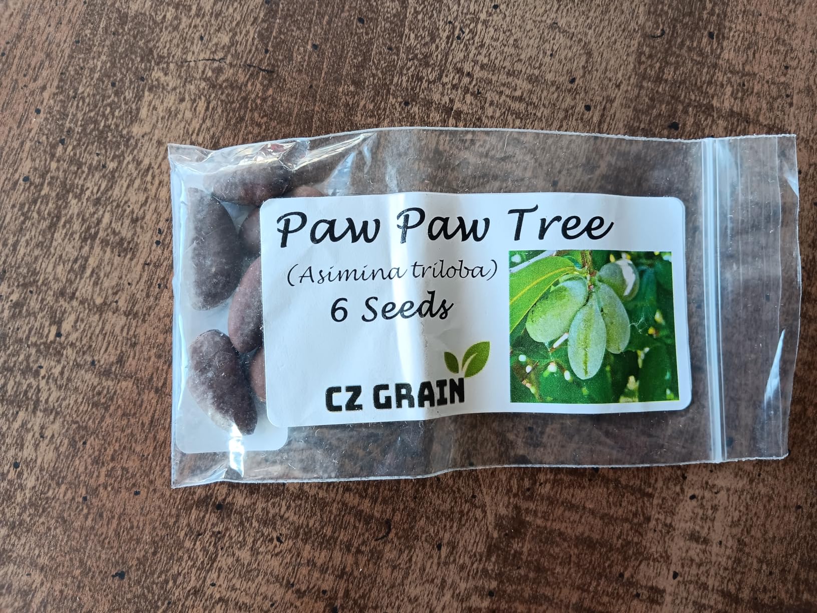 Paw Paw Tree Seeds for Planting | 6 Seeds | Edible Dominican Republic | Ubuy