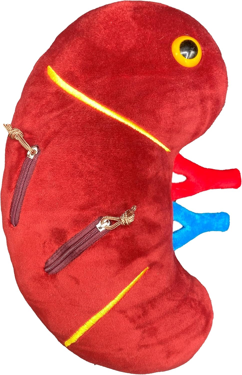 GIANTmicrobes Deluxe 12" Kidney Plush with Kidney Stones, Kidney Stuffed Animal, Kidney Transplant Gifts, Kidney Donor Gifts, Kidney Pillow, Urology Gifts, Nephrology Gifts, Dialysis Nurse Gifts - Image 6