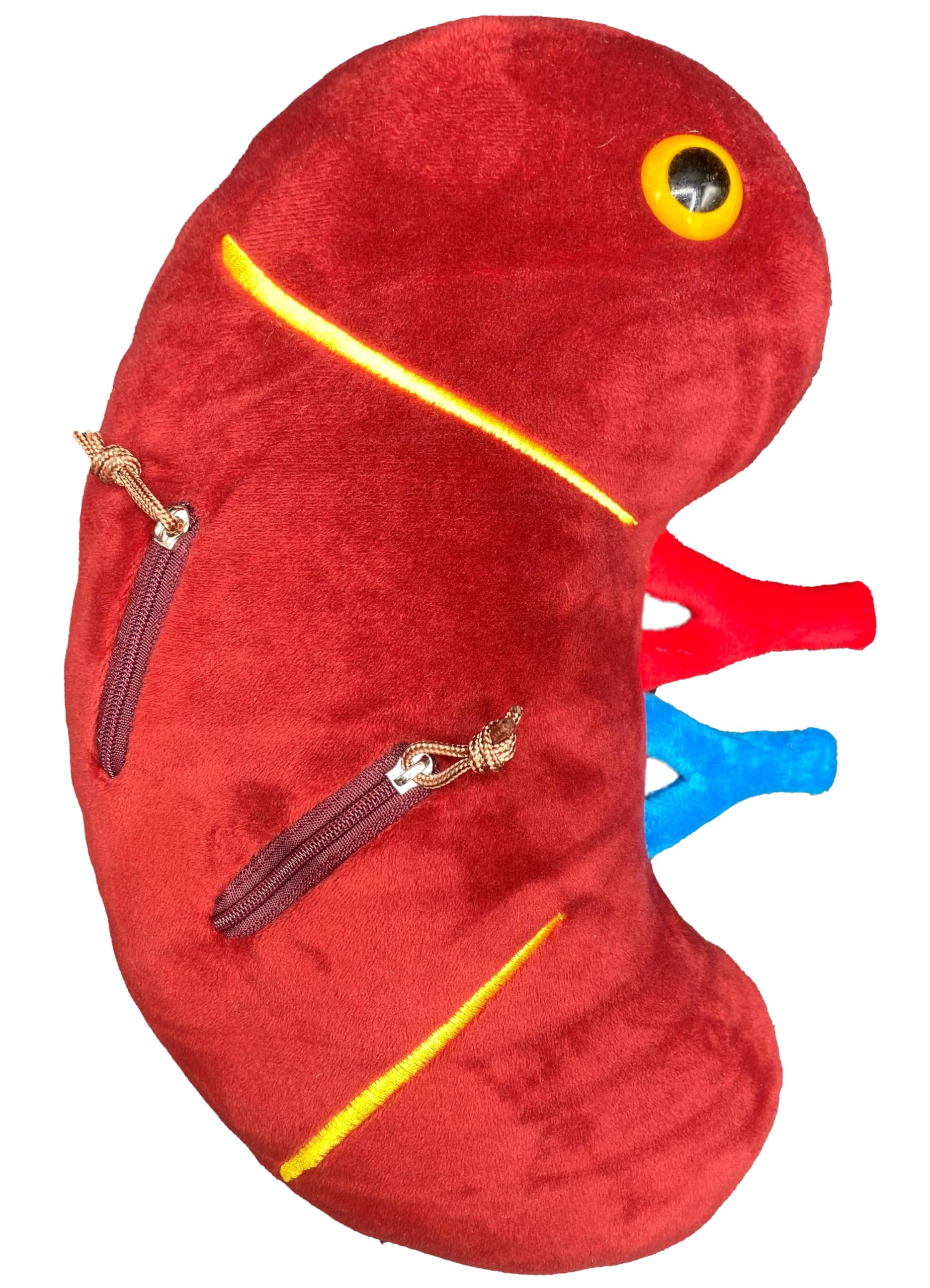 尿結石　腎結石　世界に一つ　チャーム Amazon.co.jp: GIANT MICROBES デラックス 12インチ キドニー