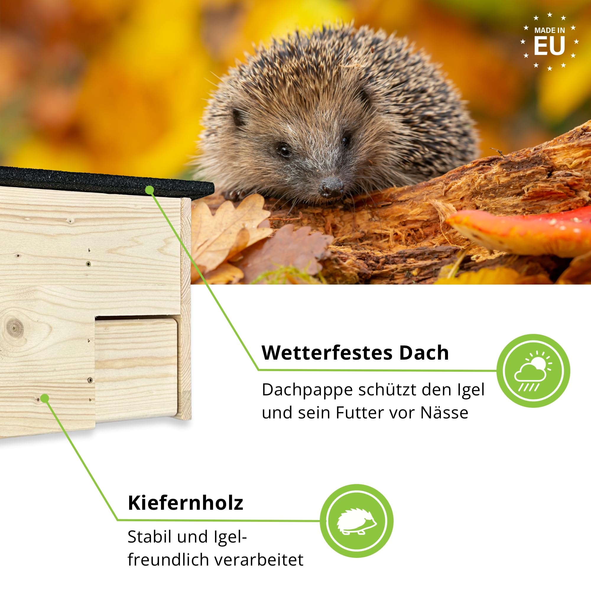 GARTENETAGE Igelfutterhaus XXL mit Panorama-Beobachtungsfenster, Rattenklappen & Fluchtweg – wetterfestes Igelhaus aus zertifiziertem Holz – nachhaltiger Schutz & Beobachtung im Garten