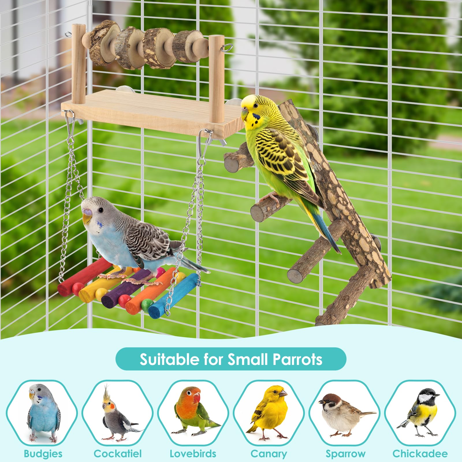 DBNESS 4 Pcs Bird Perch with Swing, Parrot Perches Platform with Chew Blocks, Natural Climbing Ladder Bridge Colorful Hammock for Budgies, Cockatiels, Lovebirds, Finches - image 6