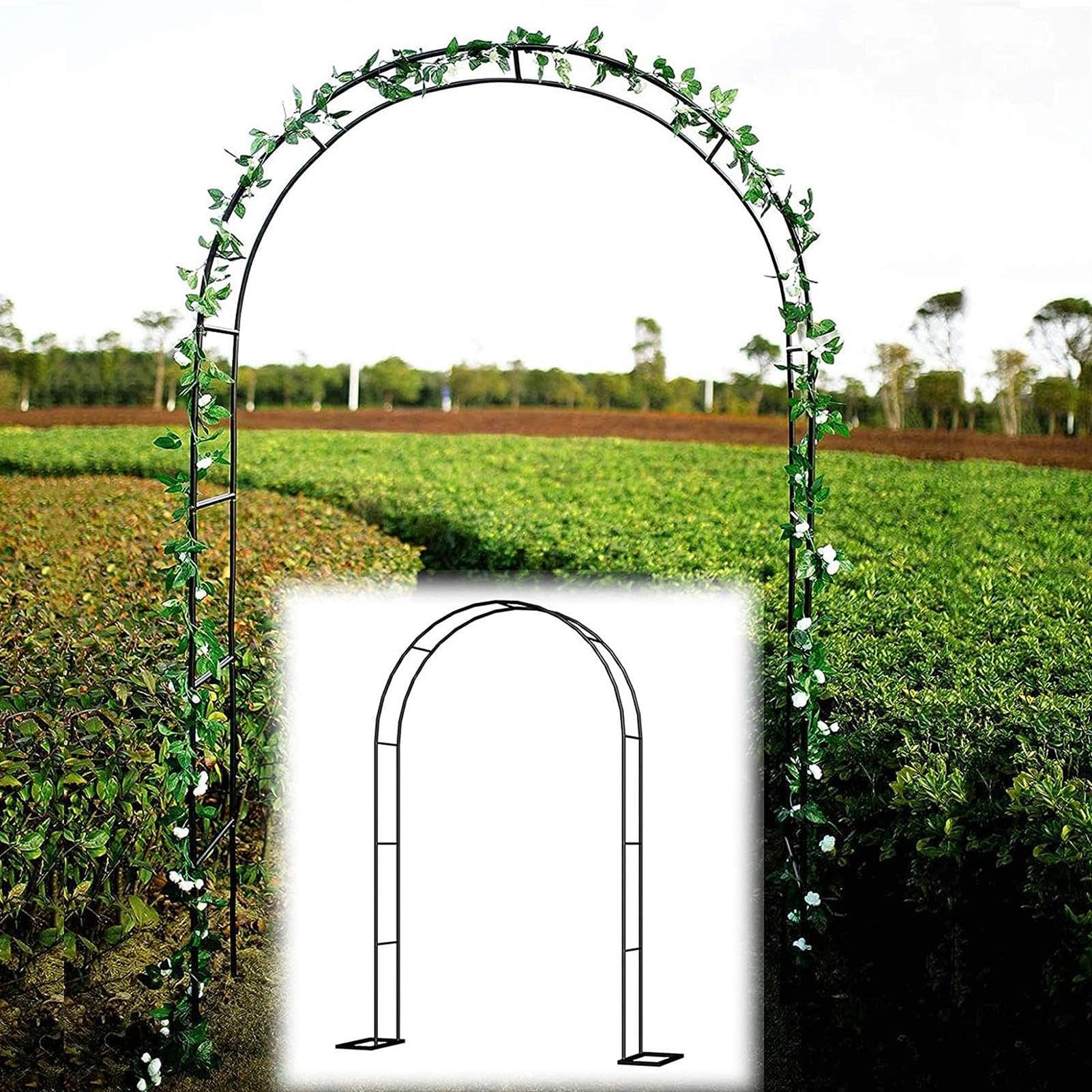 Arche de jardin avec montage facile pour rosiers et vignes