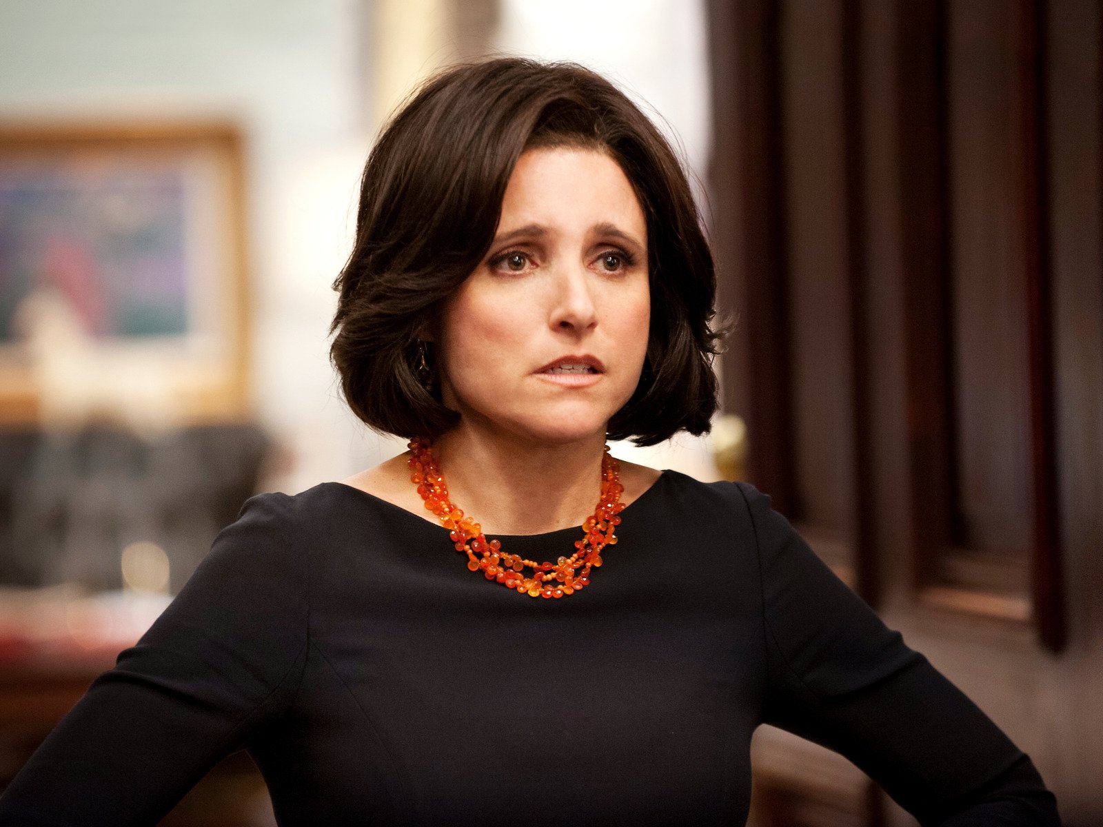 Amazon Co Jp ヴィープ シーズン2 字幕版 を観る Prime Video