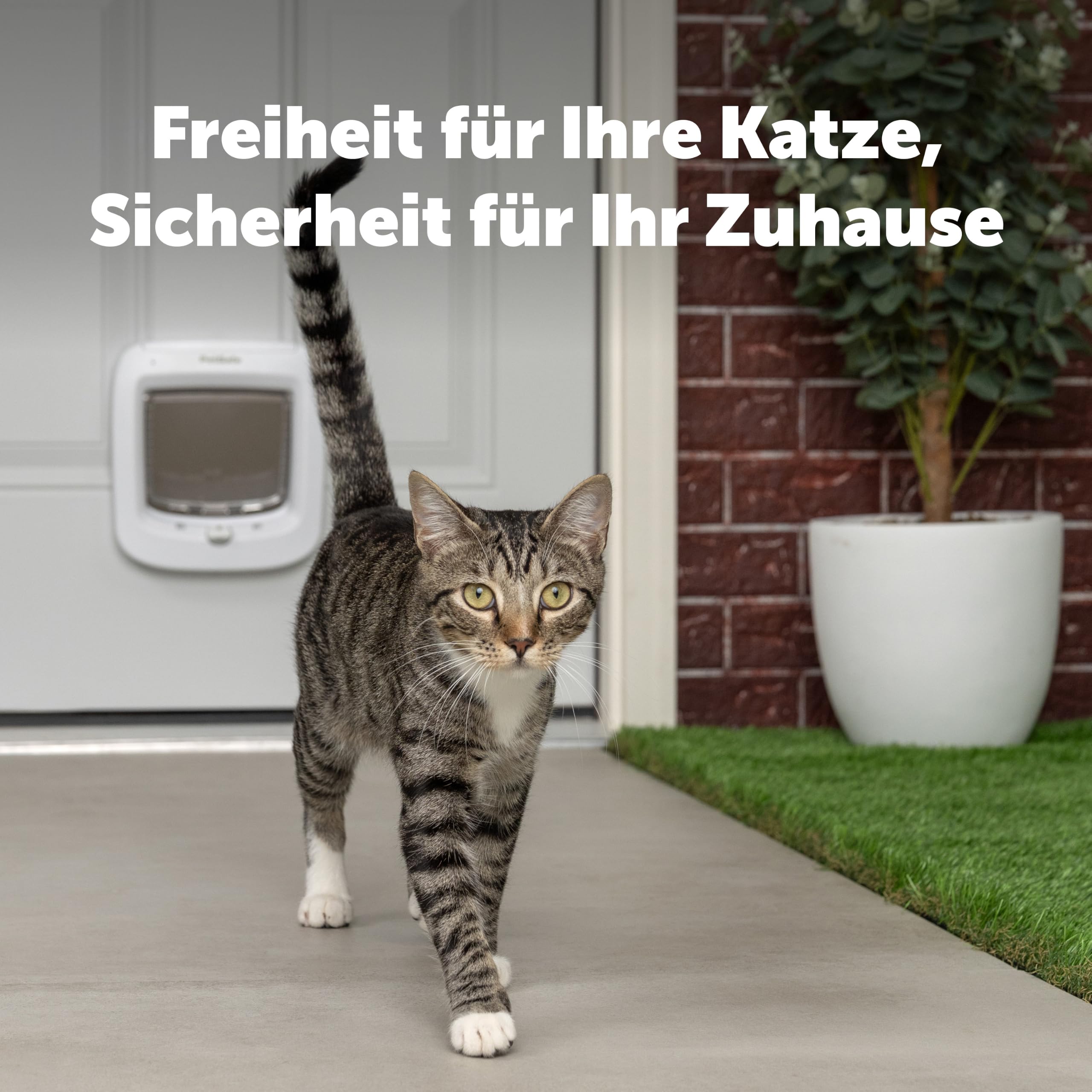 PetSafe - Mikrochip-Katzenklappe - Außen- oder Innentür für Katzen - RFID-Zugang für bis zu 40 Haustiere - 4 Verschlussoptionen, Wetterfest, Einfache DIY Montage - Weiß