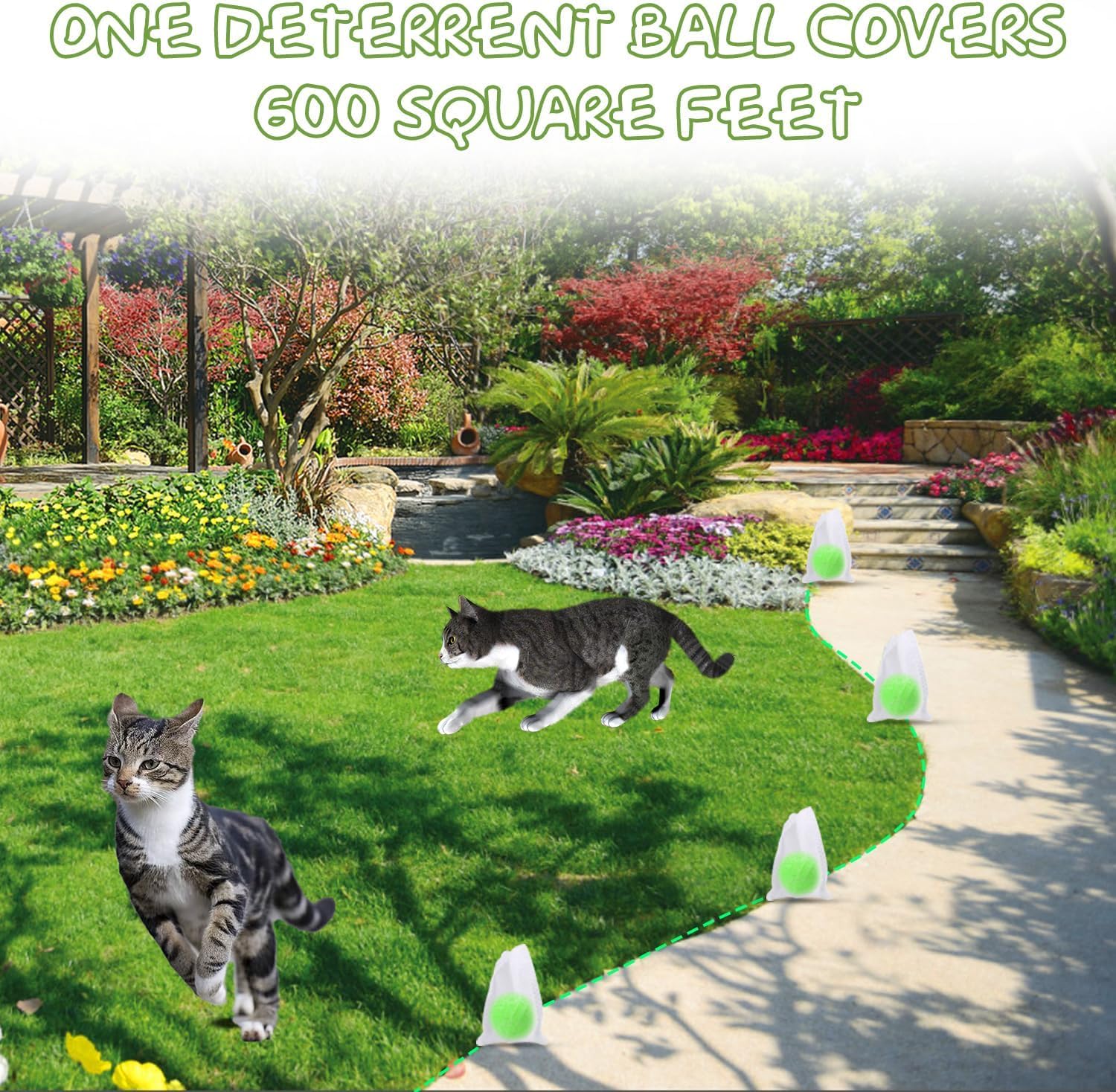 Cat Deterrent Outdoor, Dog Deterrent, Natural Peppermint Oil Cat&Dog Deterrent Outdoor and Indoor, Keep Cats Out of Yard Permanently, Protect (1) 1