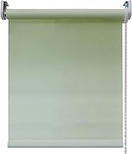 Indoor Roller Blind, Filtering Decorative Blackout Roller Blind, for Bedrooms, Offices, Dining Room - Wall or Ceiling Mount (Green Shanding, 90 x 250 cm)