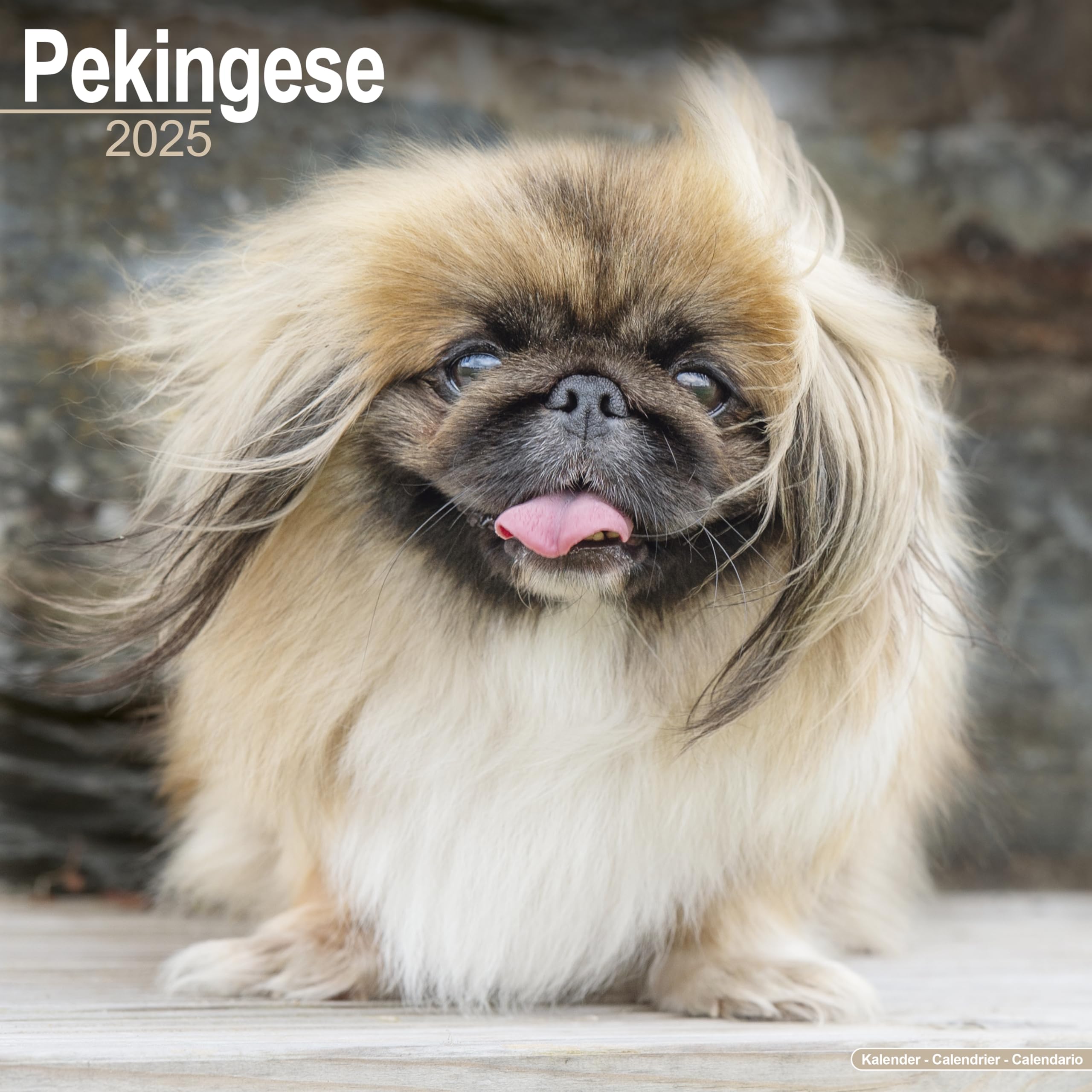 Pekingese 2025 Square Wall Calendar | Dog Breed Calendar: Original Avonside-Kalender [Mehrsprachig] [Kalender]