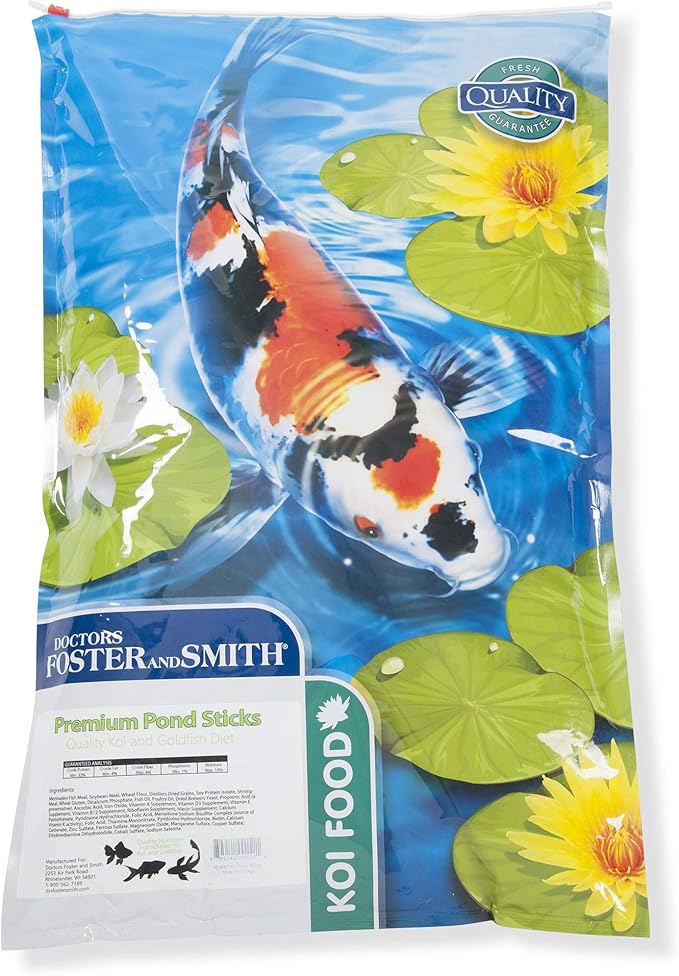 toy springer spaniel