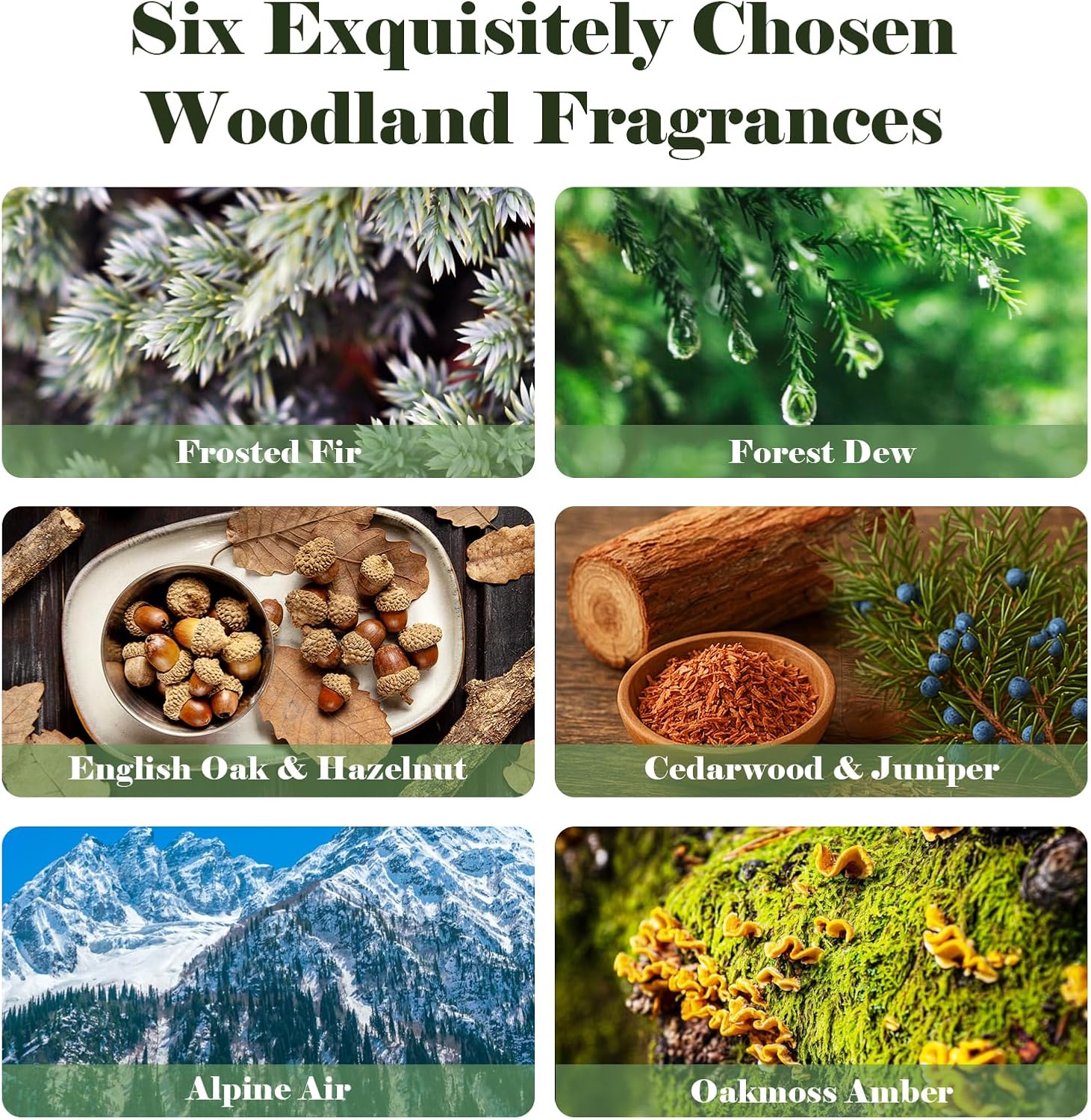 AmaKane Woodland Fragrance Oil, Forest Diffuser Oil Scents, Candle Scents for Candle Making, Soap Making Scents, Frosted Fir, Cedarwood&Juniper, Oakmoss Amber and More Essential Oils 6x10ml - Image 4