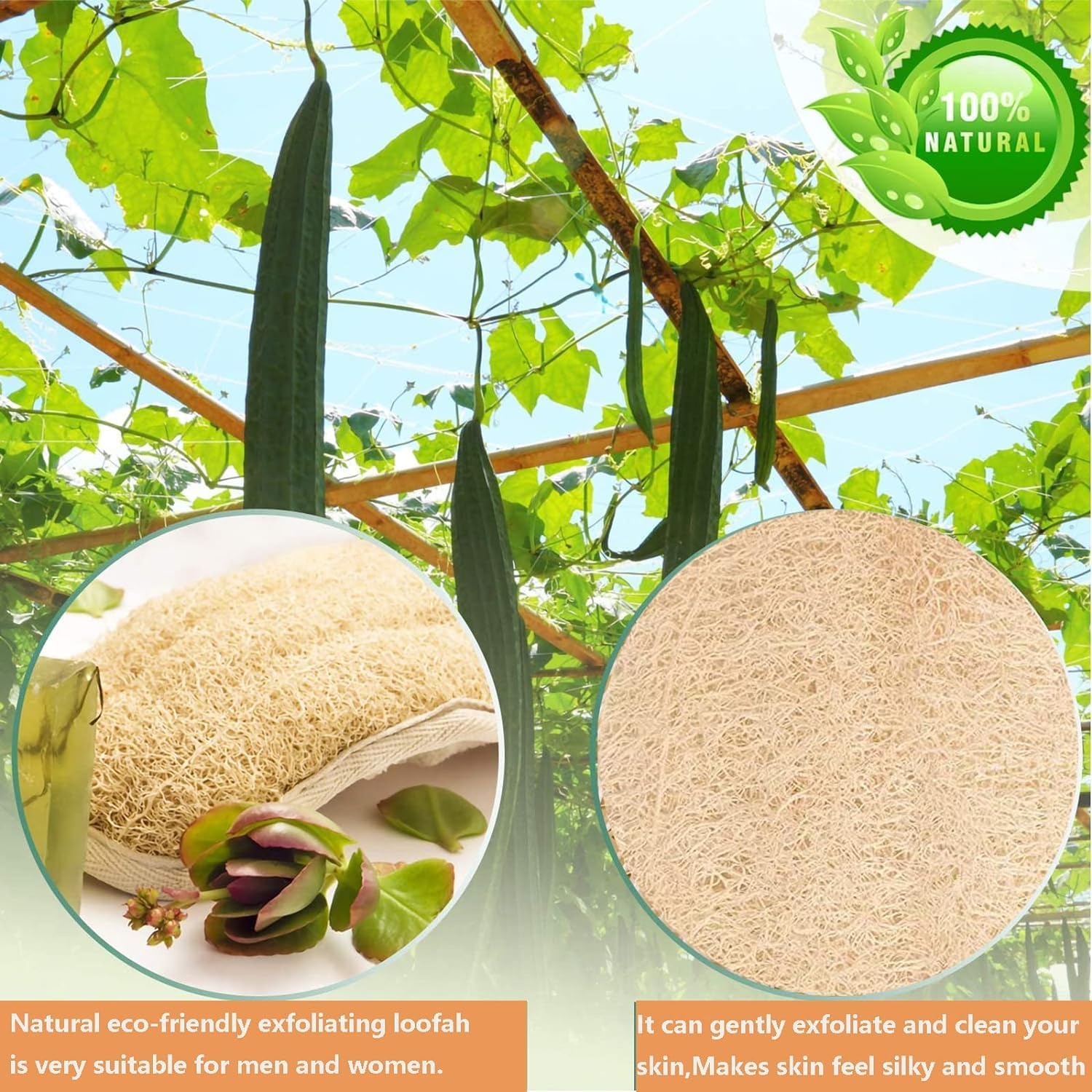 Esponja exfoliante corporal de lufa, 2 piezas de esponja natural de lufa, esponjas naturales de lufa, almohadillas exfoliantes corporales de ducha, cepillo de espalda de lufa, para mujeres y hombres,
