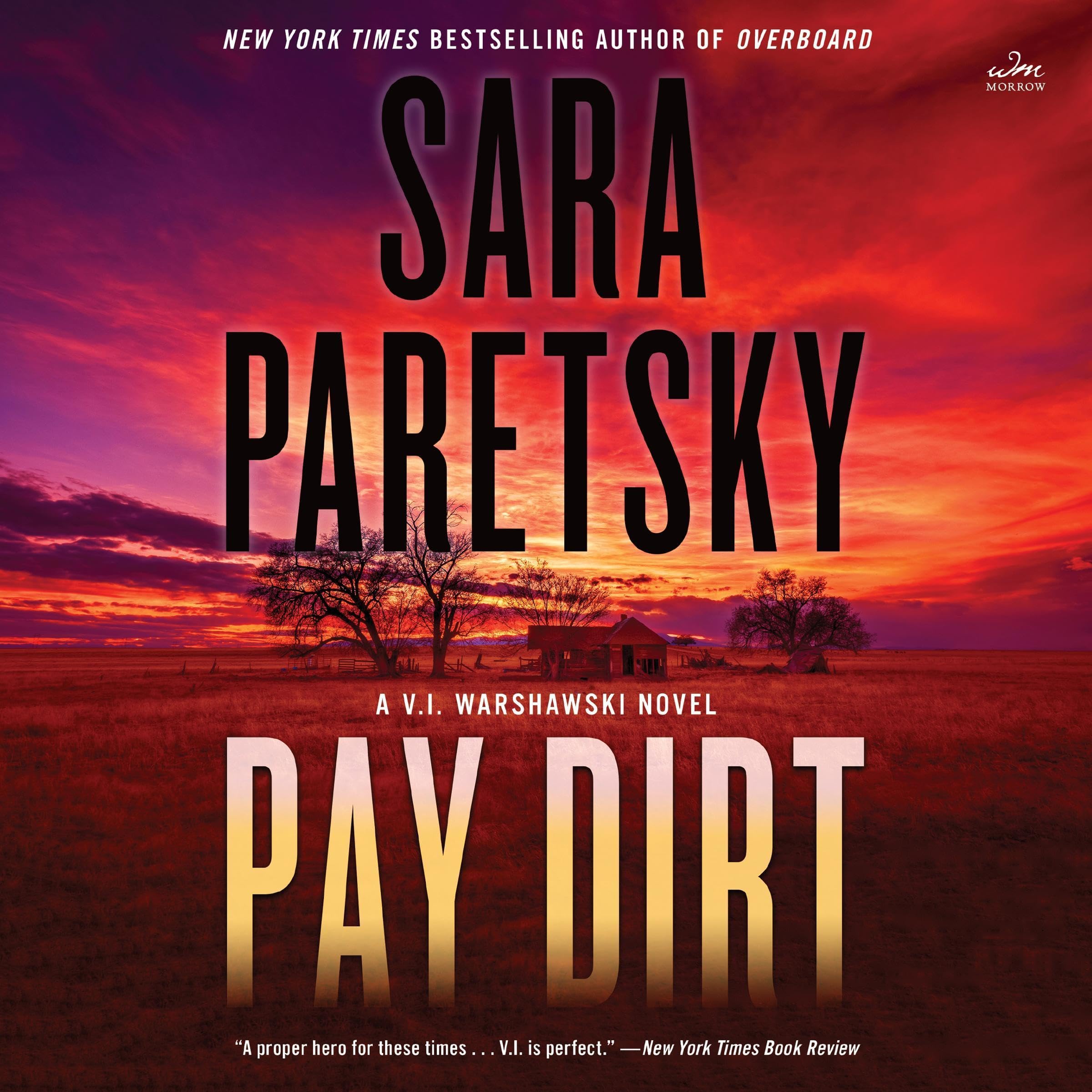 Cover art for Pay Dirt
