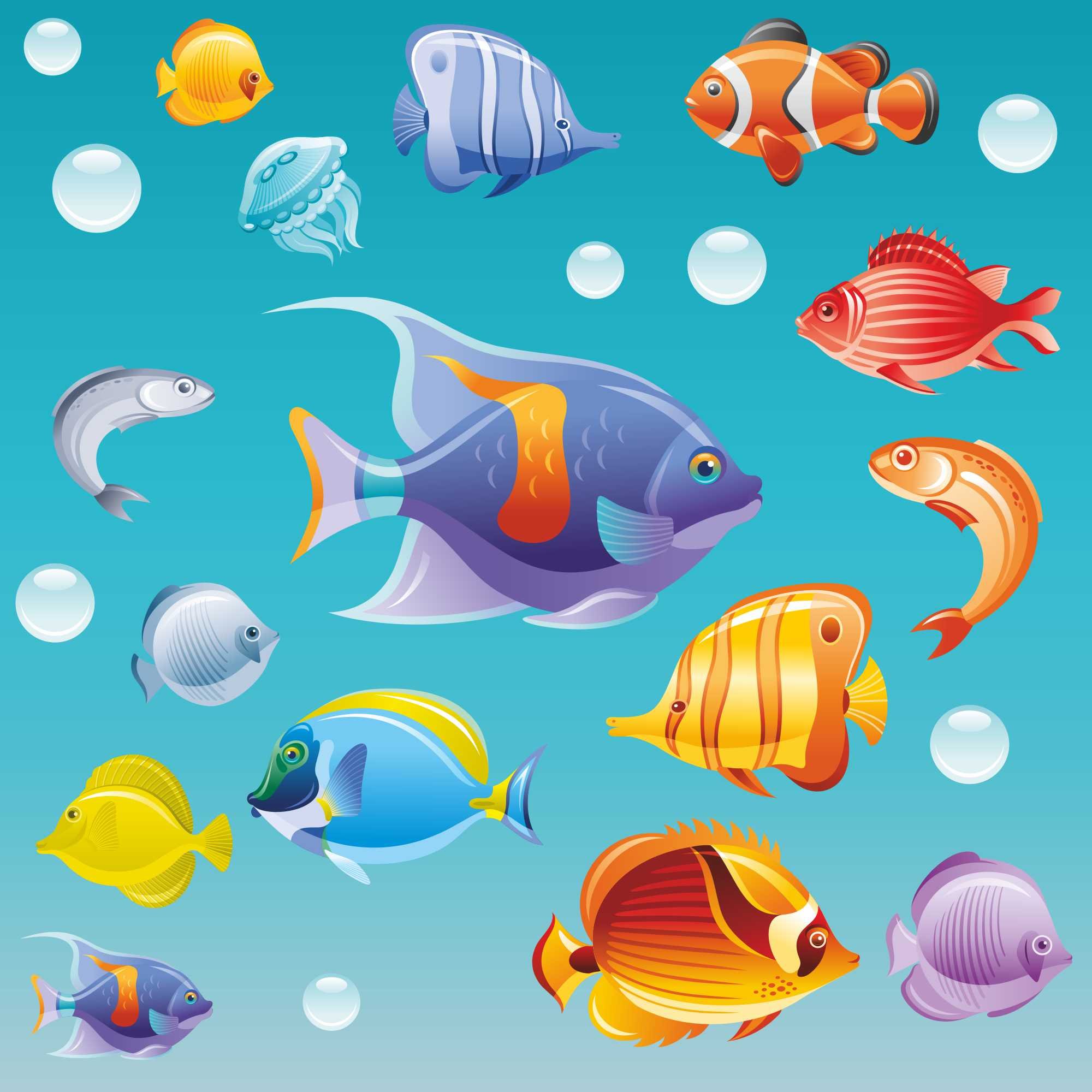 Stickers4 Bathroom Tile - Window - Shower Screen Decorative Tropical Fish Stickers | Double Sided Static Cling Removable Colorful Under The sea Collection - Size Large