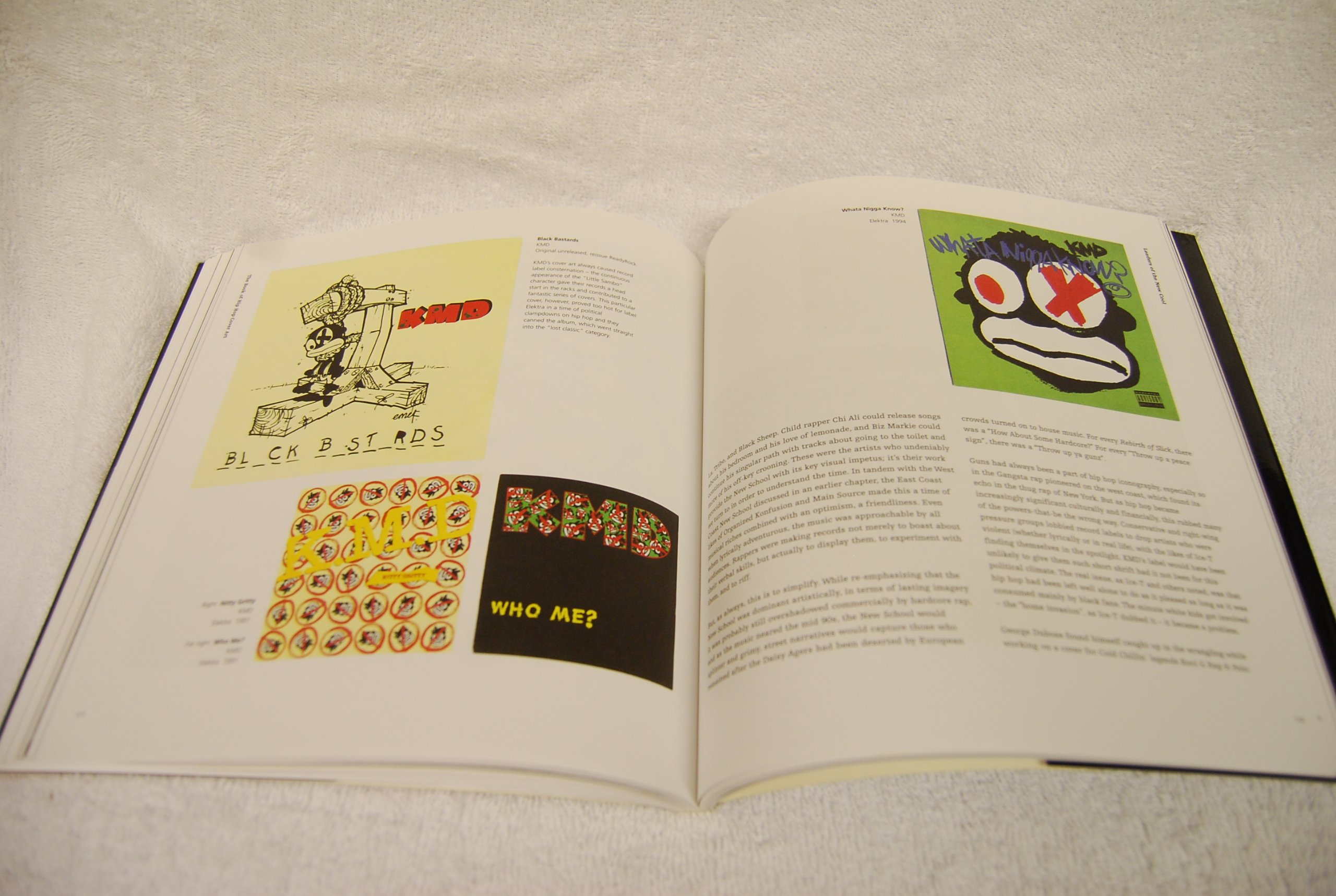 The Book of Hip Hop Cover Art