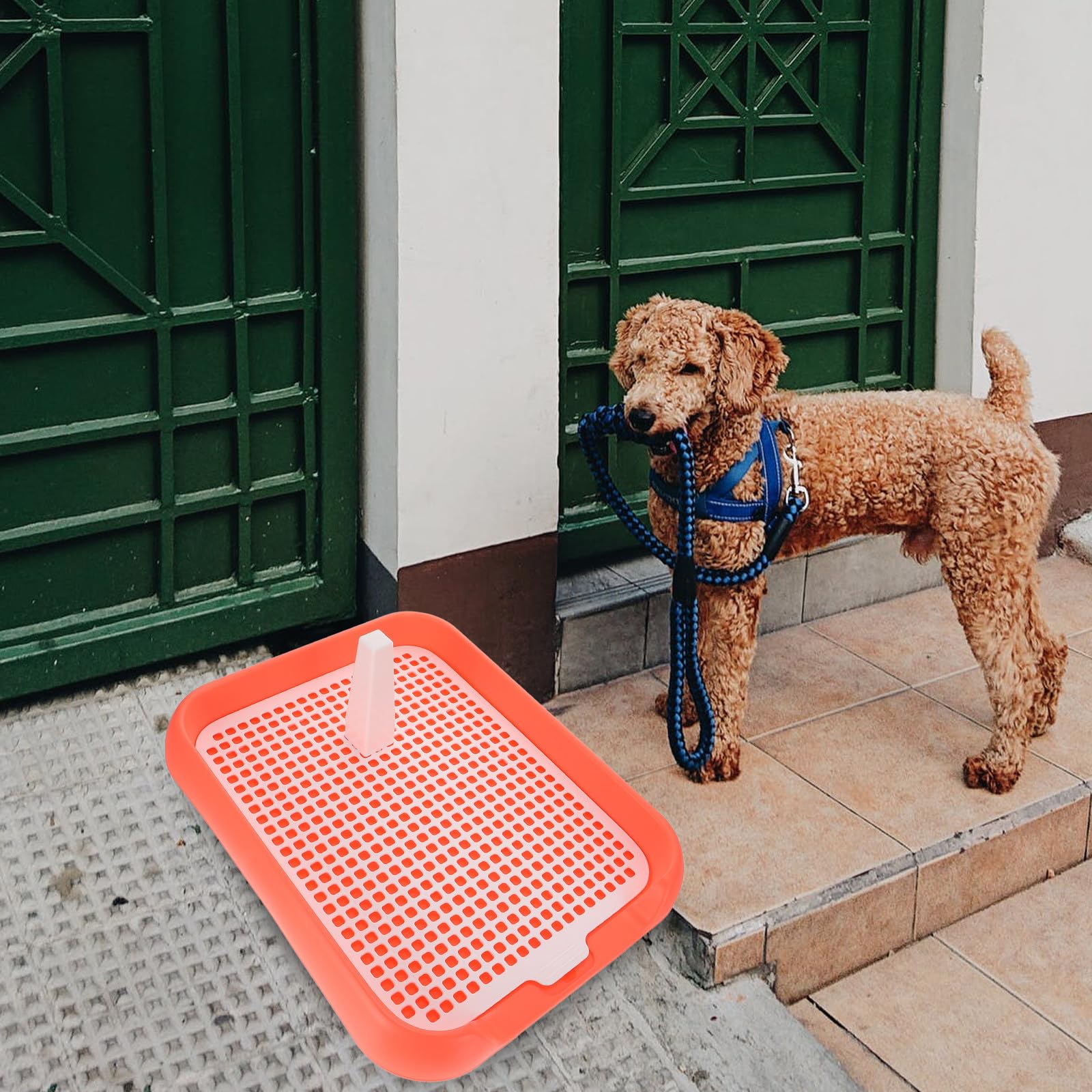 Toilette per Cani da Interno per Cuccioli Design Antiscivolo Bordi Rialzati e Maniglia per Spostamento Comodo Vasino per Addestramento Igienico Animali Domestici